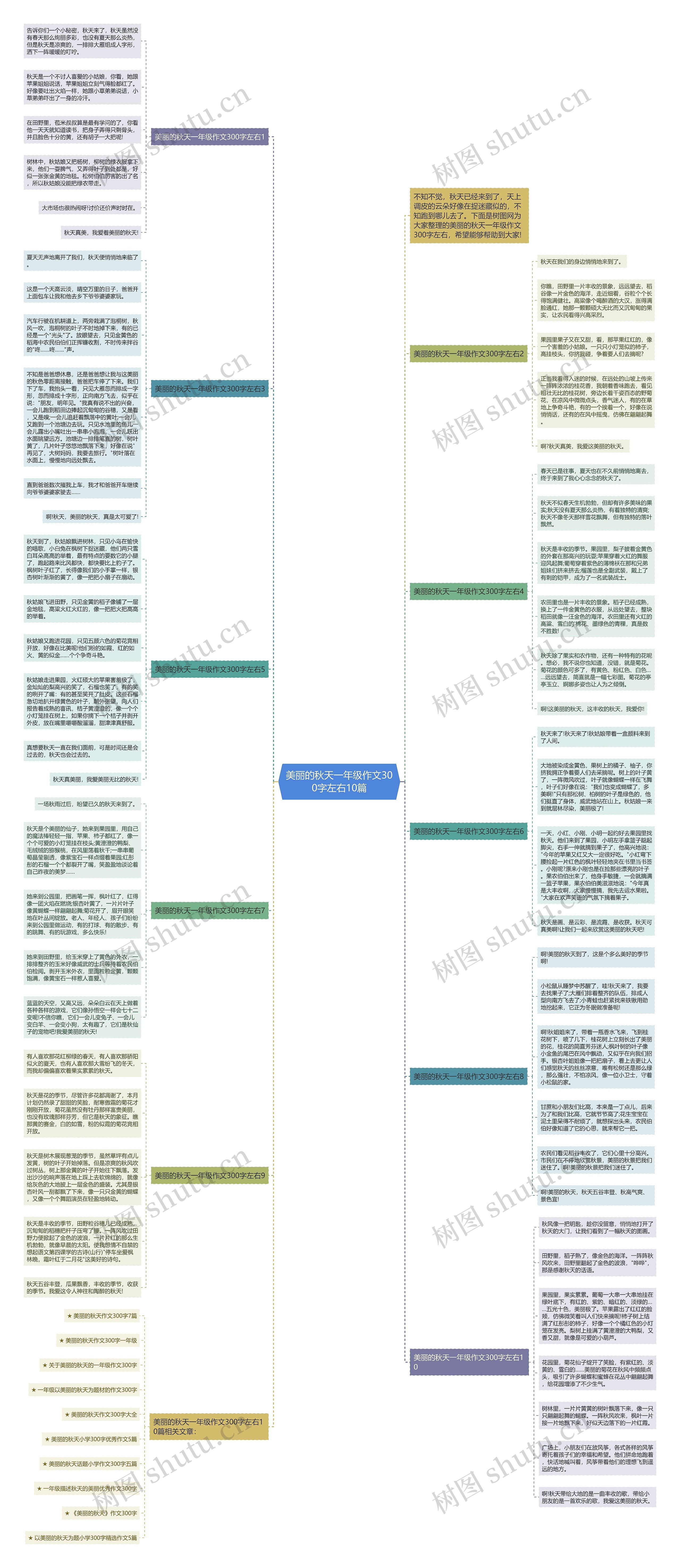 美丽的秋天一年级作文300字左右10篇思维导图