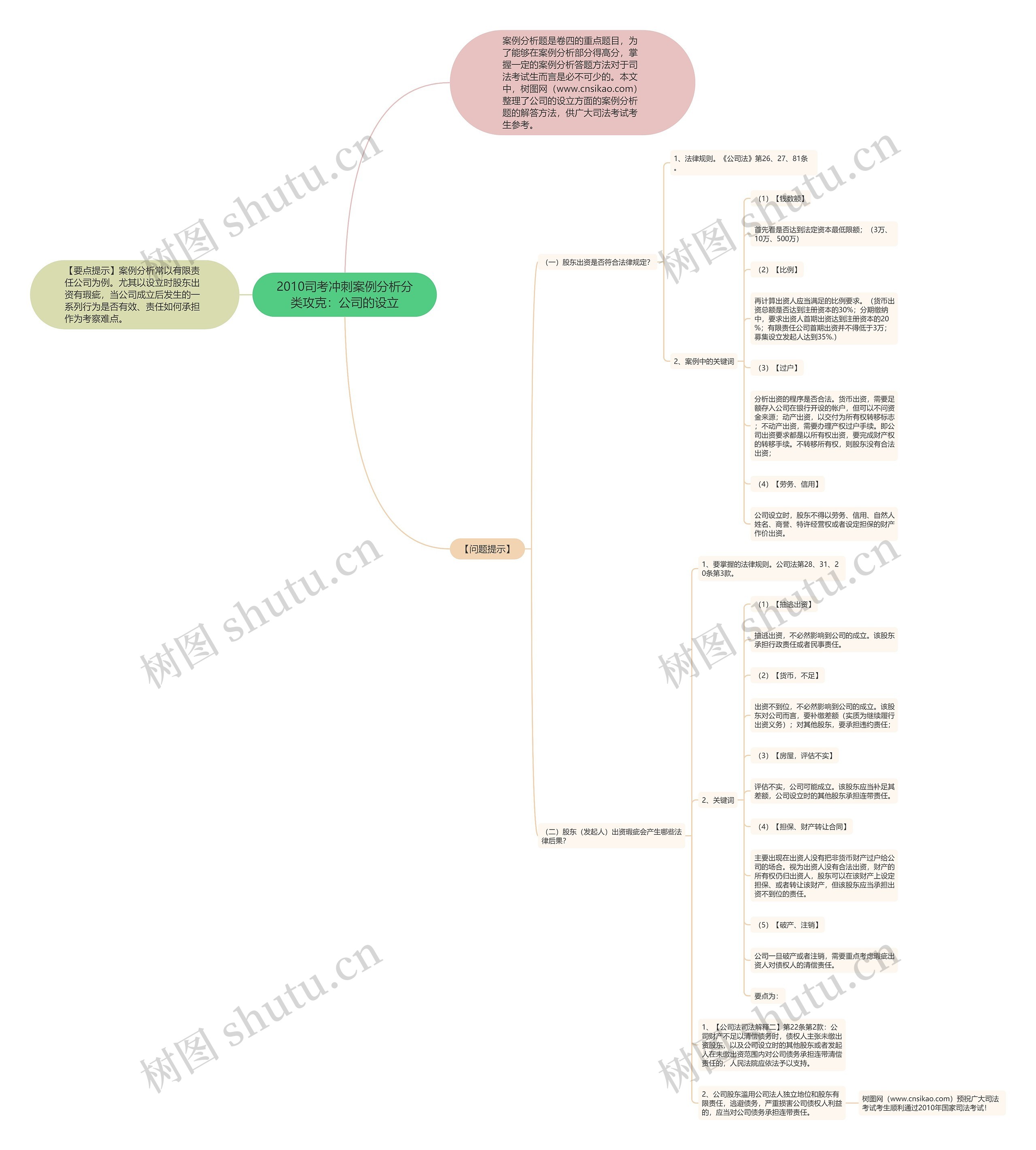2010司考冲刺案例分析分类攻克：公司的设立思维导图