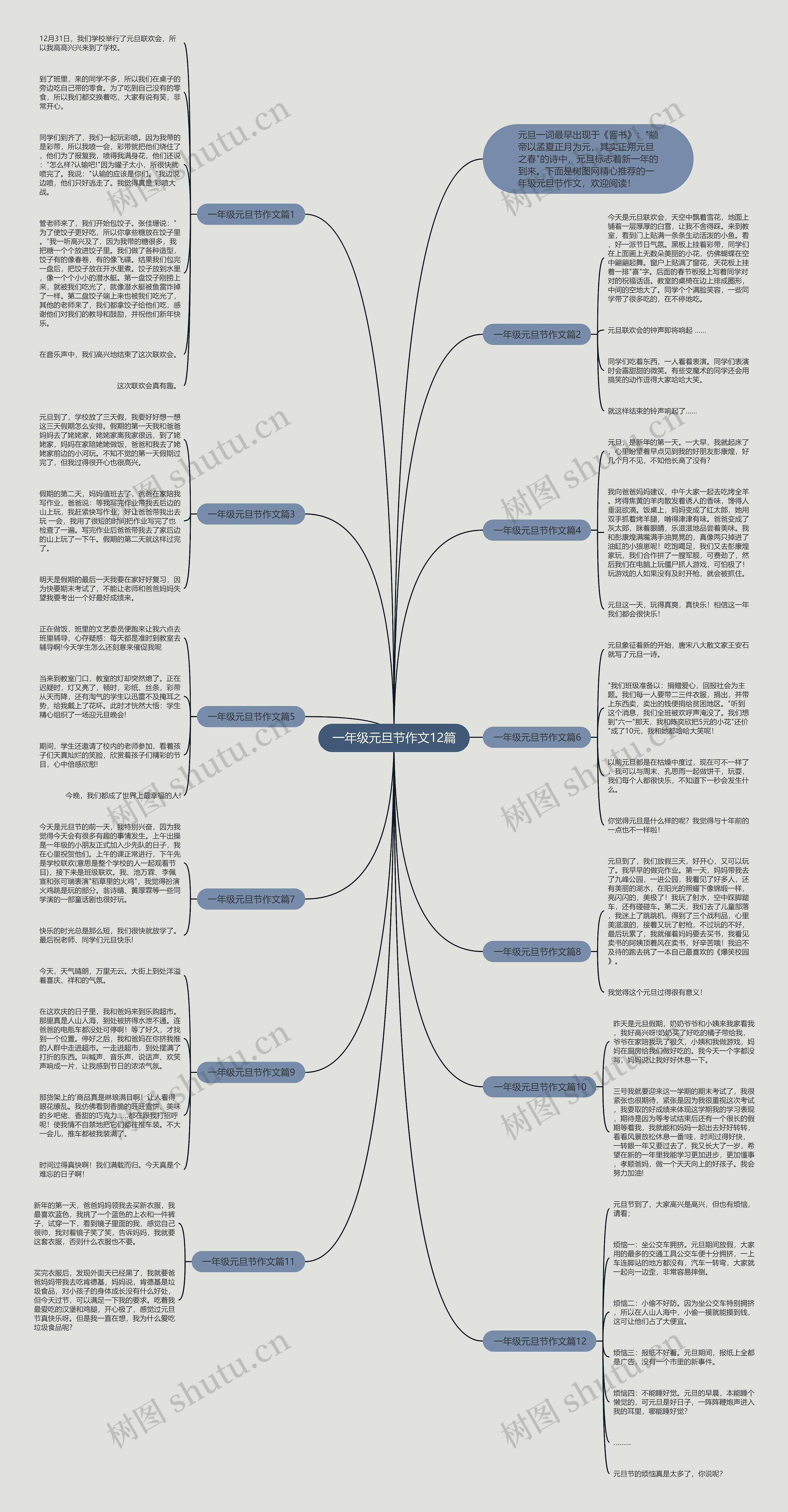 一年级元旦节作文12篇思维导图