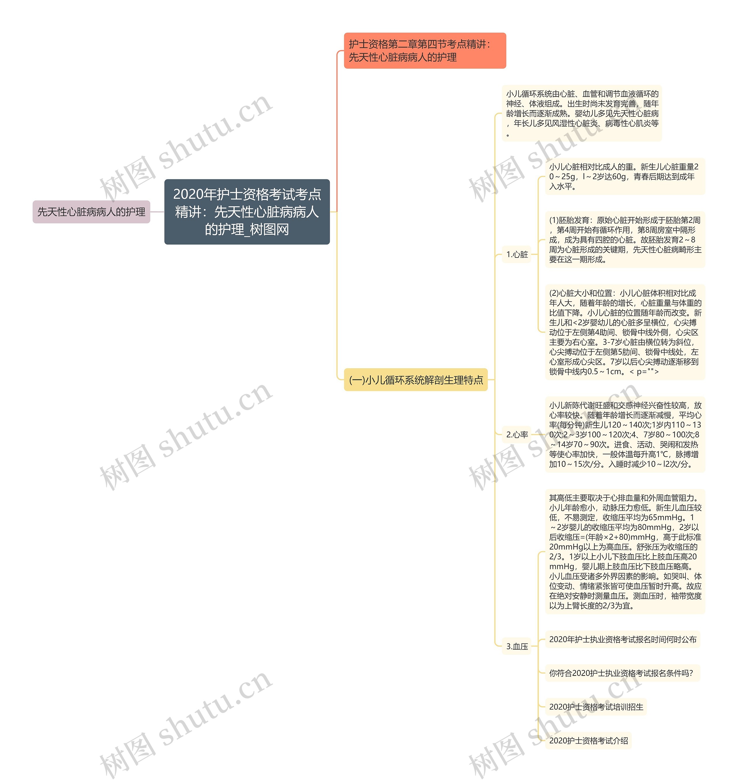 2020年护士资格考试考点精讲:先天性心脏病病人的护理 2020年护士资格考试考点精讲:先天性心脏病病人的护理