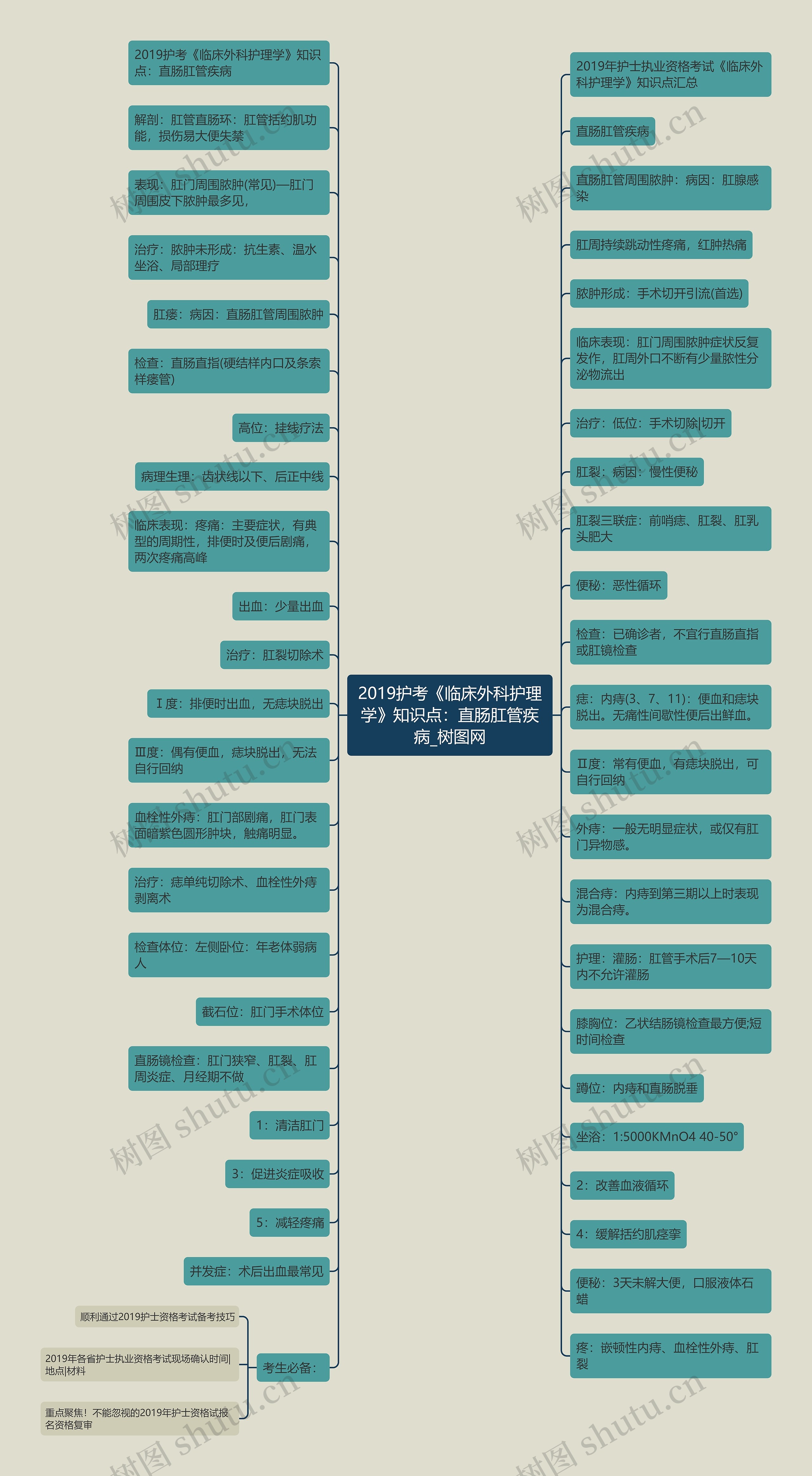2019护考《临床外科护理学》知识点:直肠肛管疾病 2019护考《临床外科护理学》知识点:直肠肛管疾病