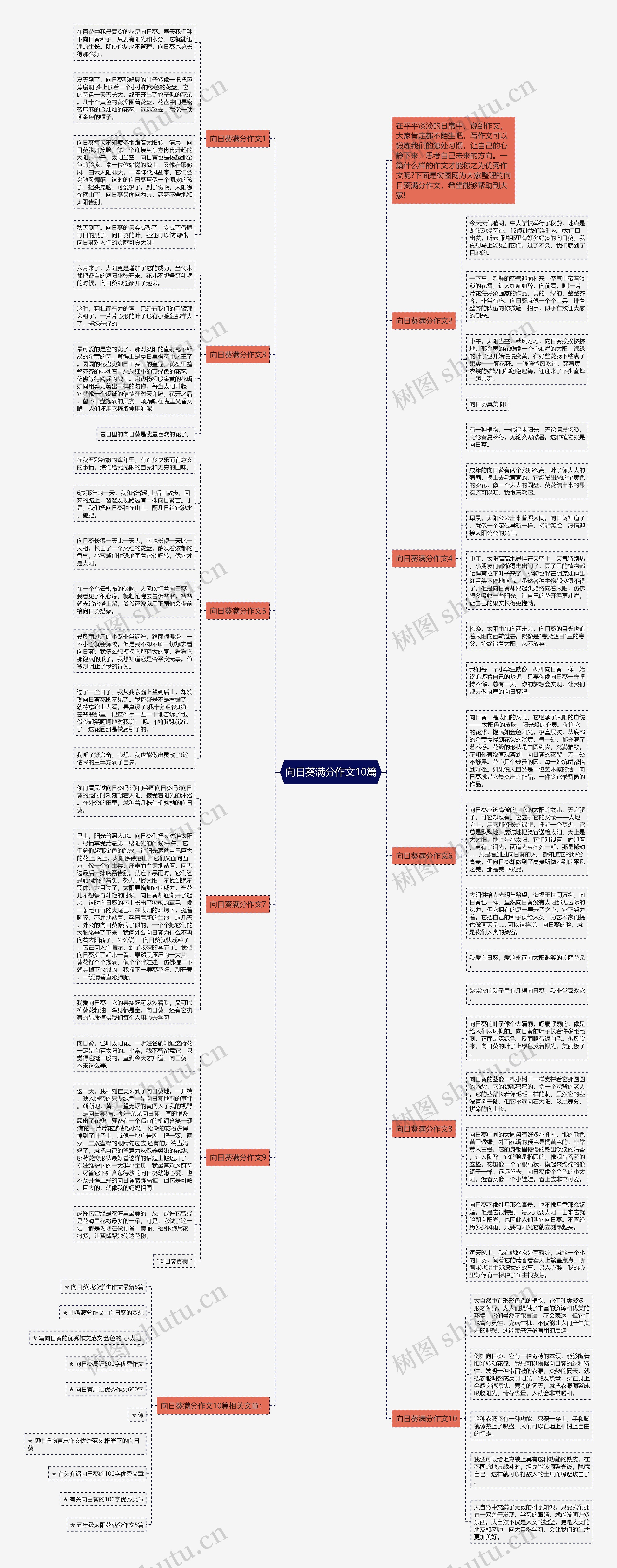 向日葵满分作文10篇思维导图