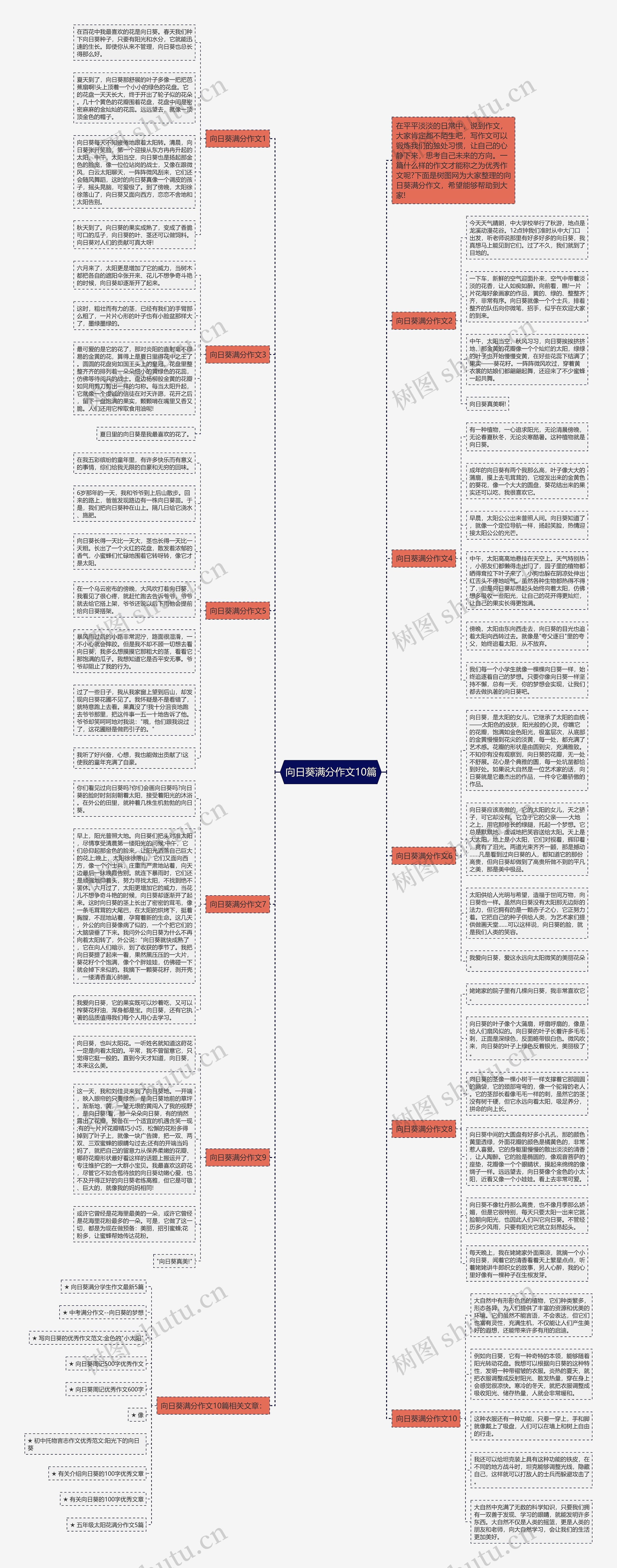 向日葵满分作文10篇思维导图高清图 向日葵满分作文10篇思维导图