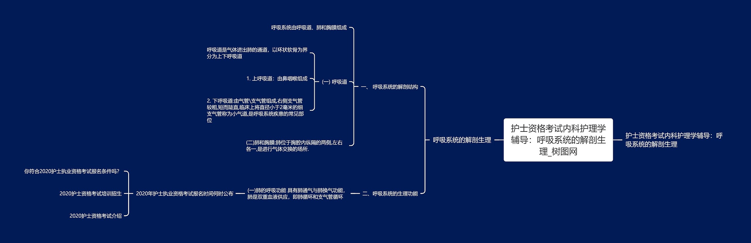 护士资格考试内科护理学辅导：呼吸系统的解剖生理