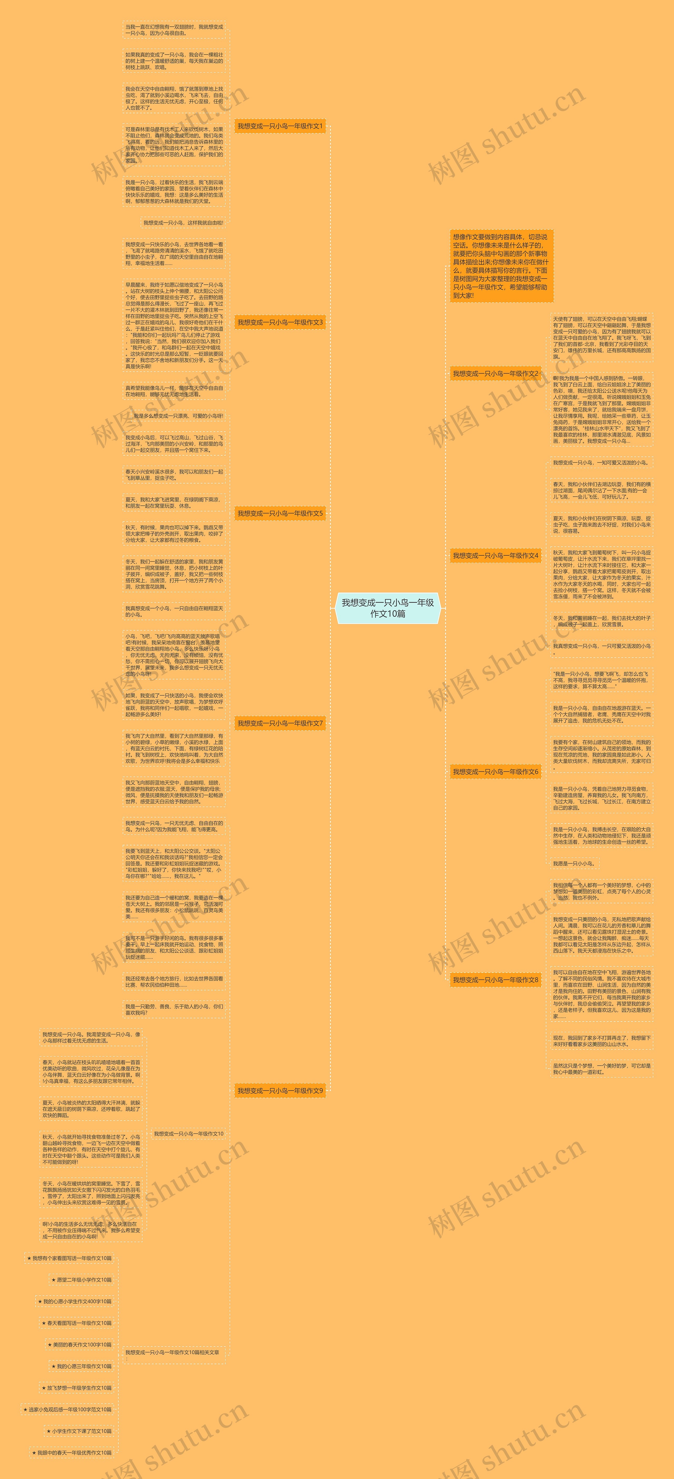 我想变成一只小鸟一年级作文10篇思维导图