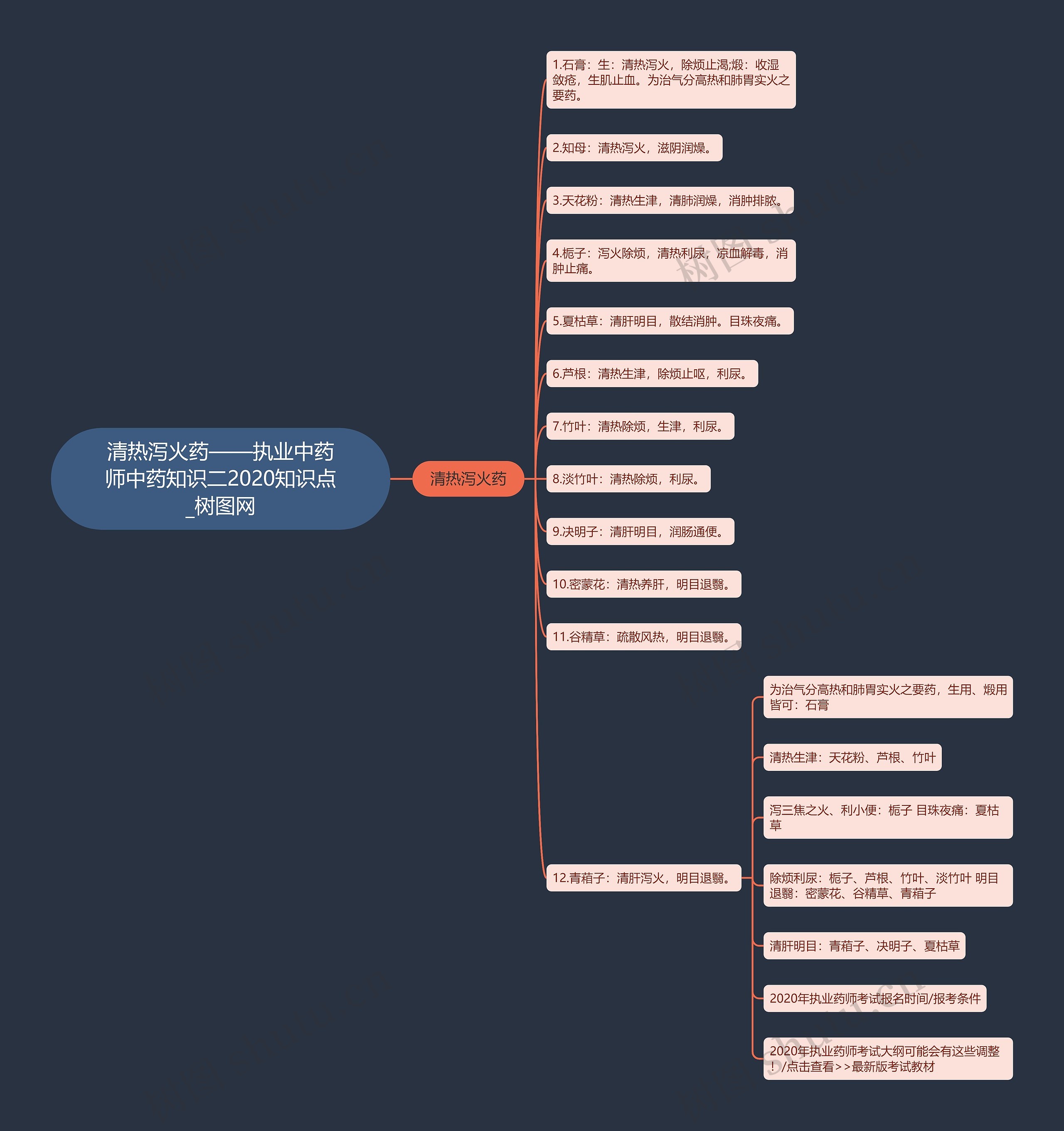 清热泻火药——执业中药师中药知识二2020知识点思维导图