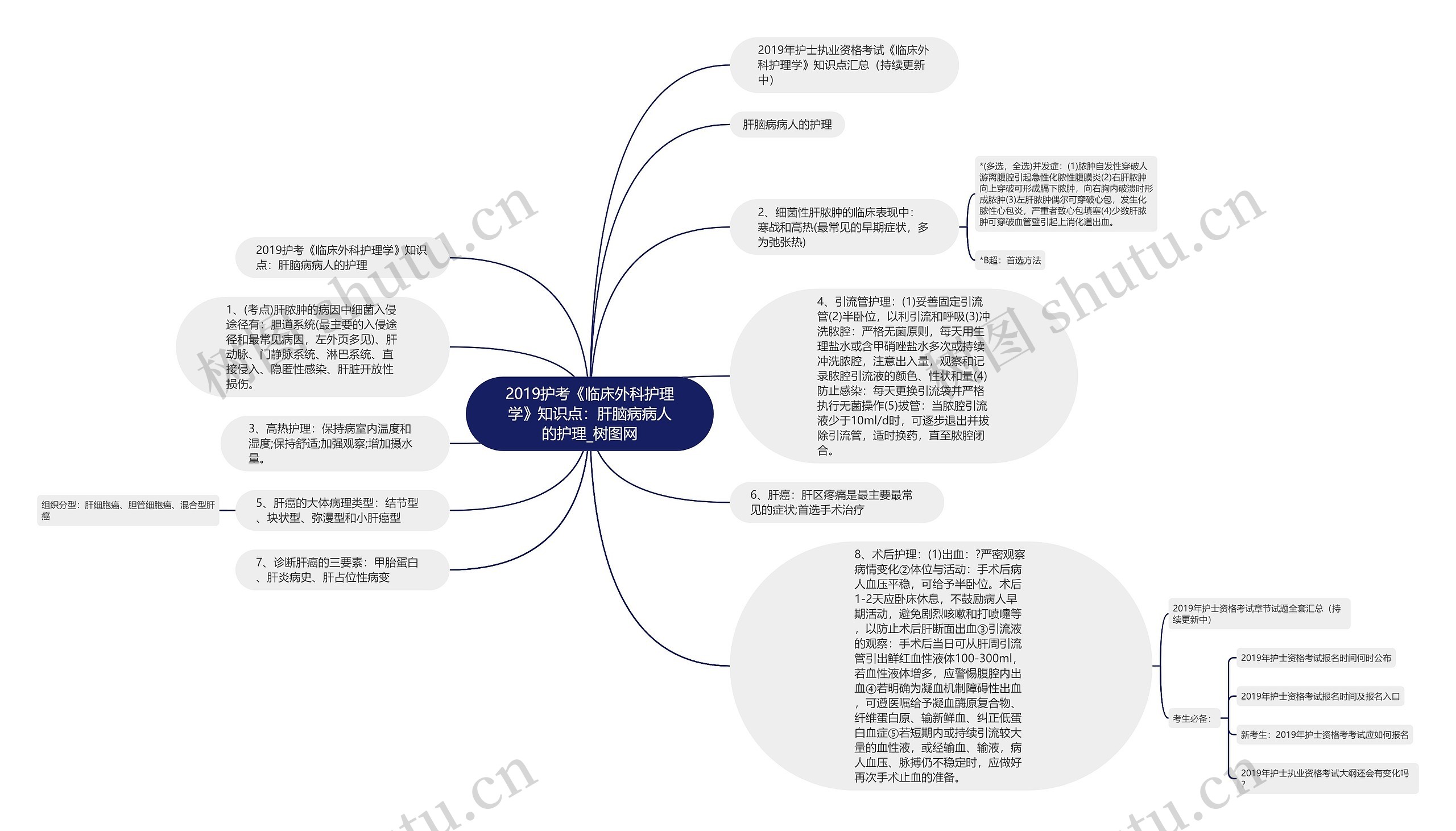 2019护考《临床外科护理学》知识点：肝脑病病人的护理思维导图