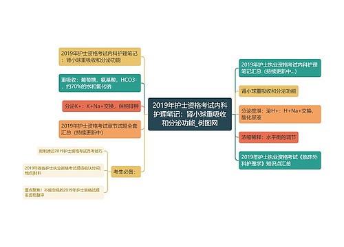 2019年护士资格考试内科护理笔记：肾小球重吸收和分泌功能