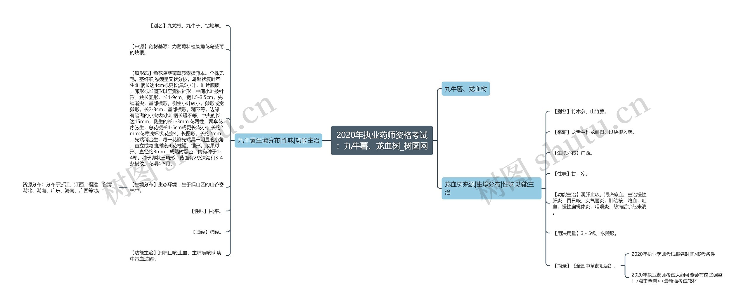 2020年执业药师资格考试：九牛薯、龙血树