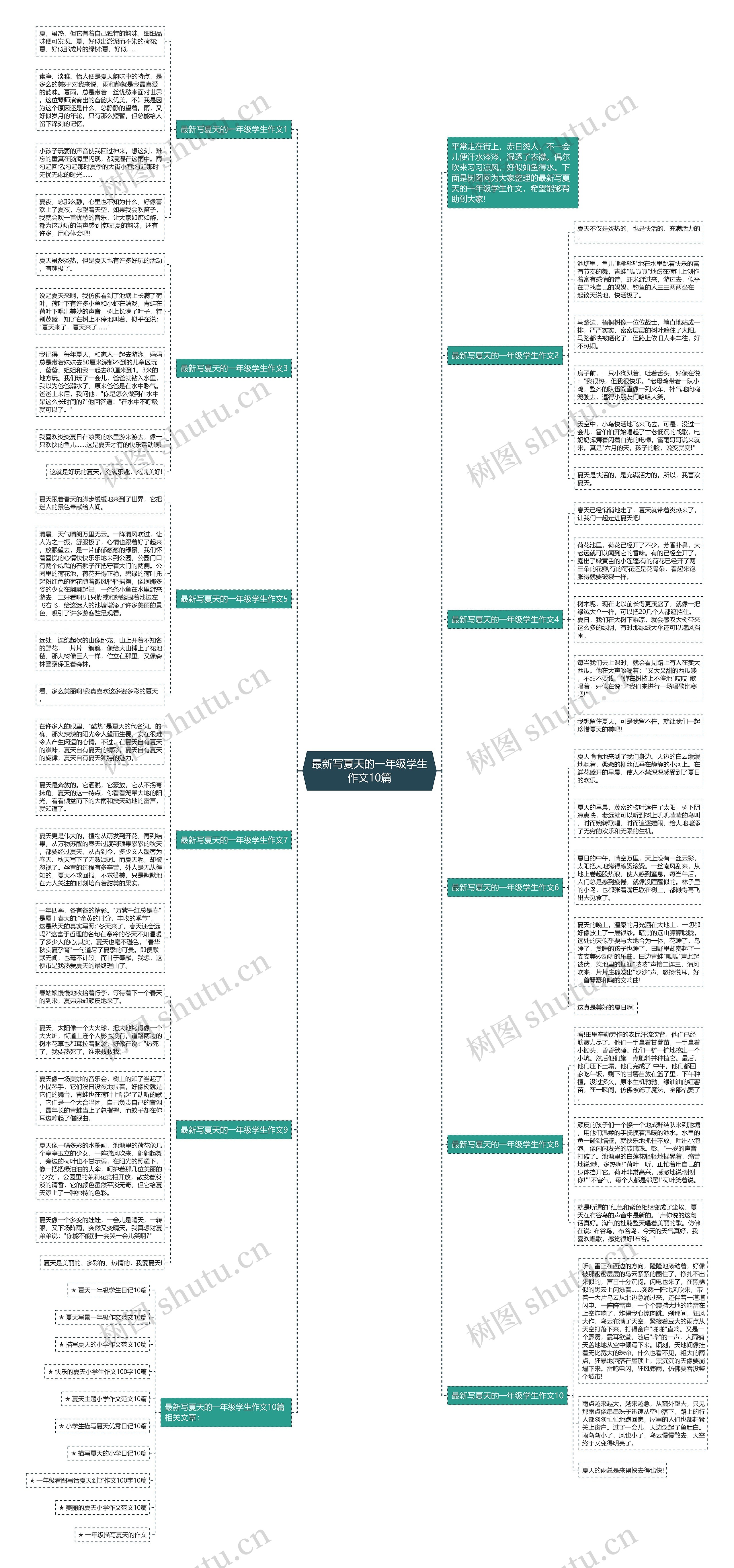 最新写夏天的一年级学生作文10篇思维导图