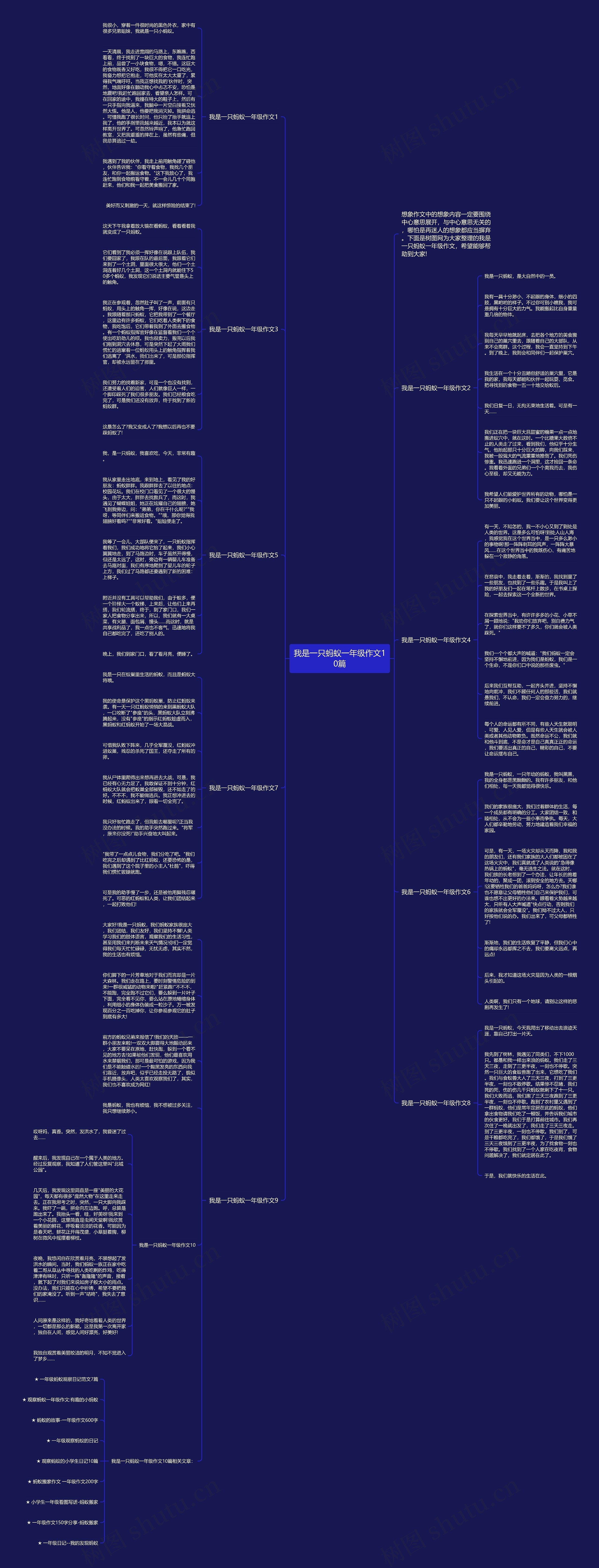 我是一只蚂蚁一年级作文10篇思维导图