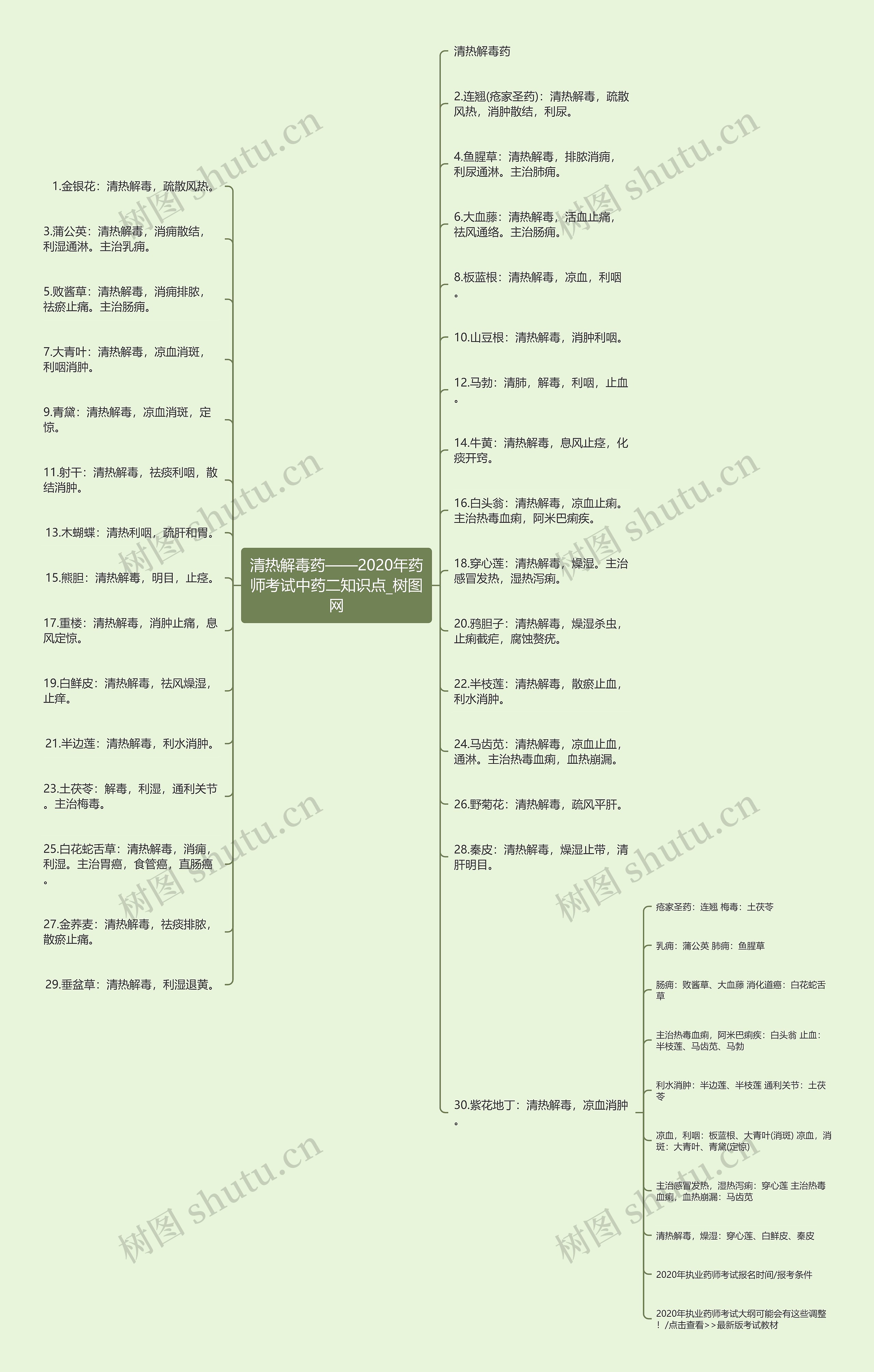 清热解毒药——2020年药师考试中药二知识点思维导图