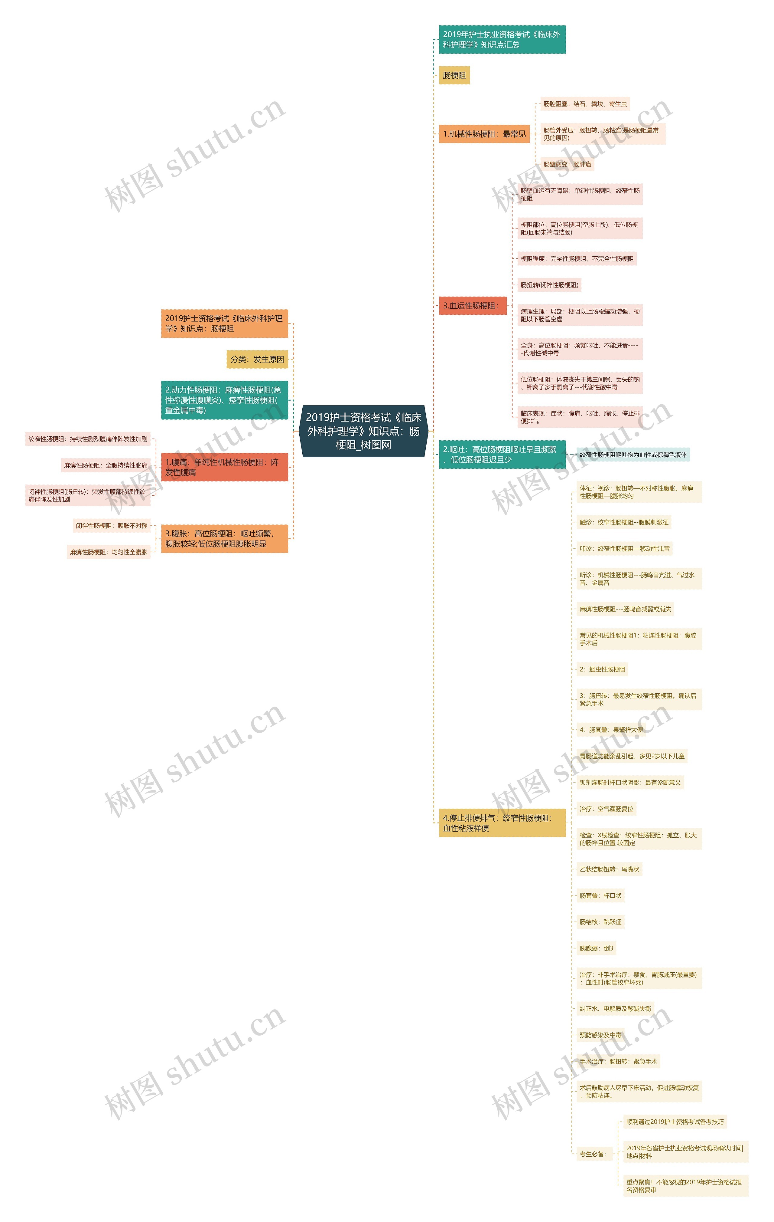 2019护士资格考试《临床外科护理学》知识点:肠梗阻 2019护士资格考试《临床外科护理学》知识点:肠梗阻