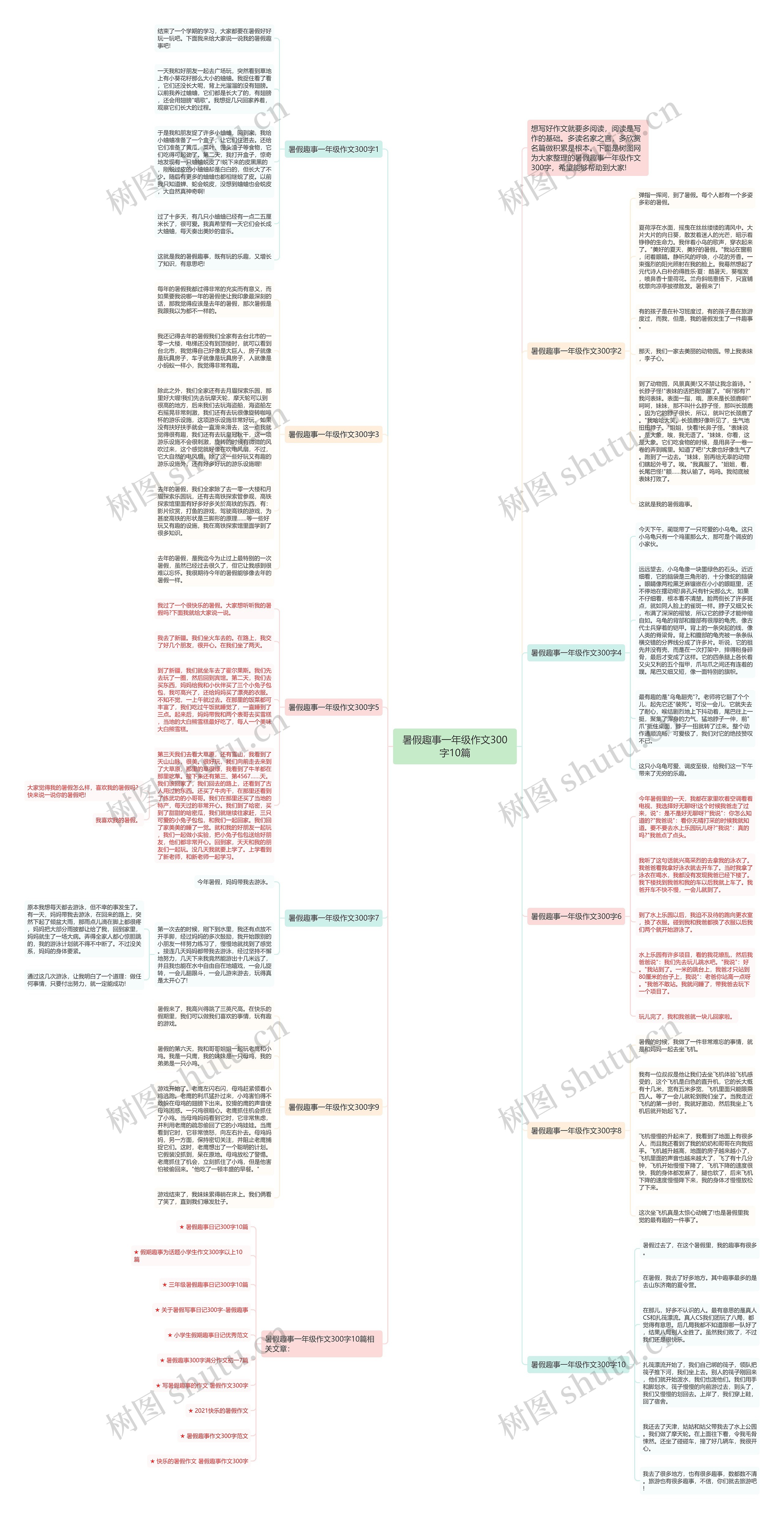暑假趣事一年级作文300字10篇