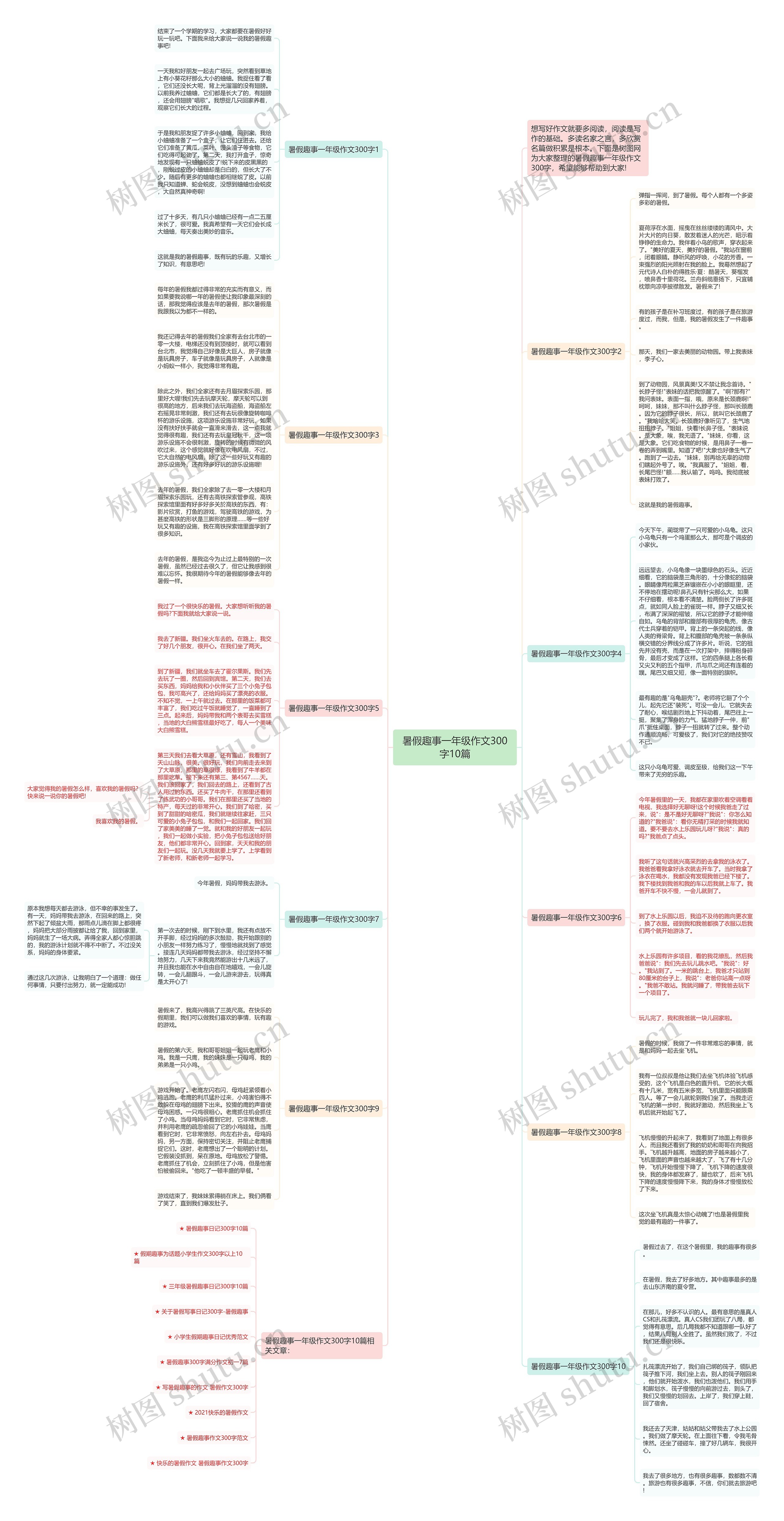 暑假趣事一年级作文300字10篇思维导图