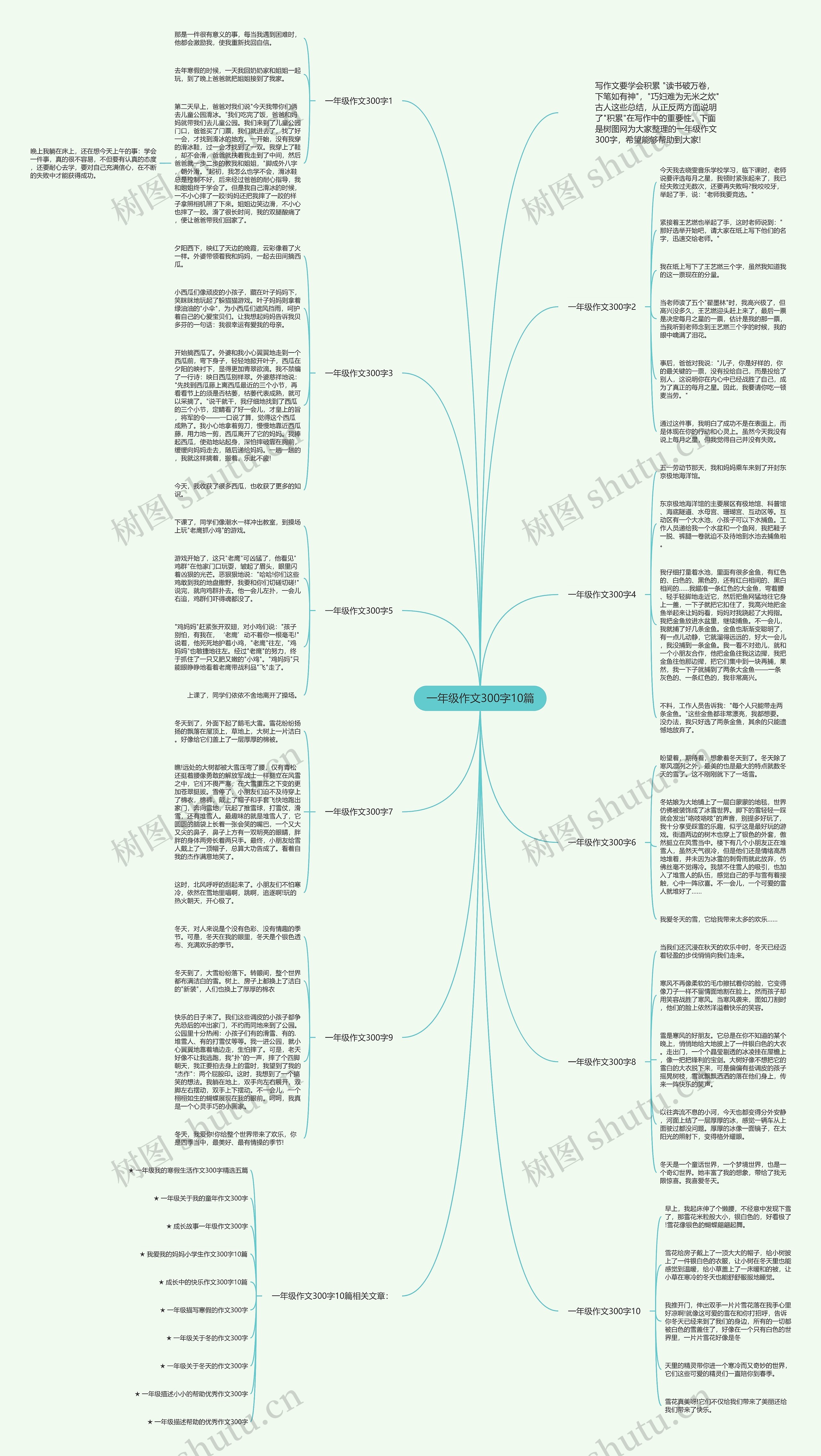 一年级作文300字10篇思维导图