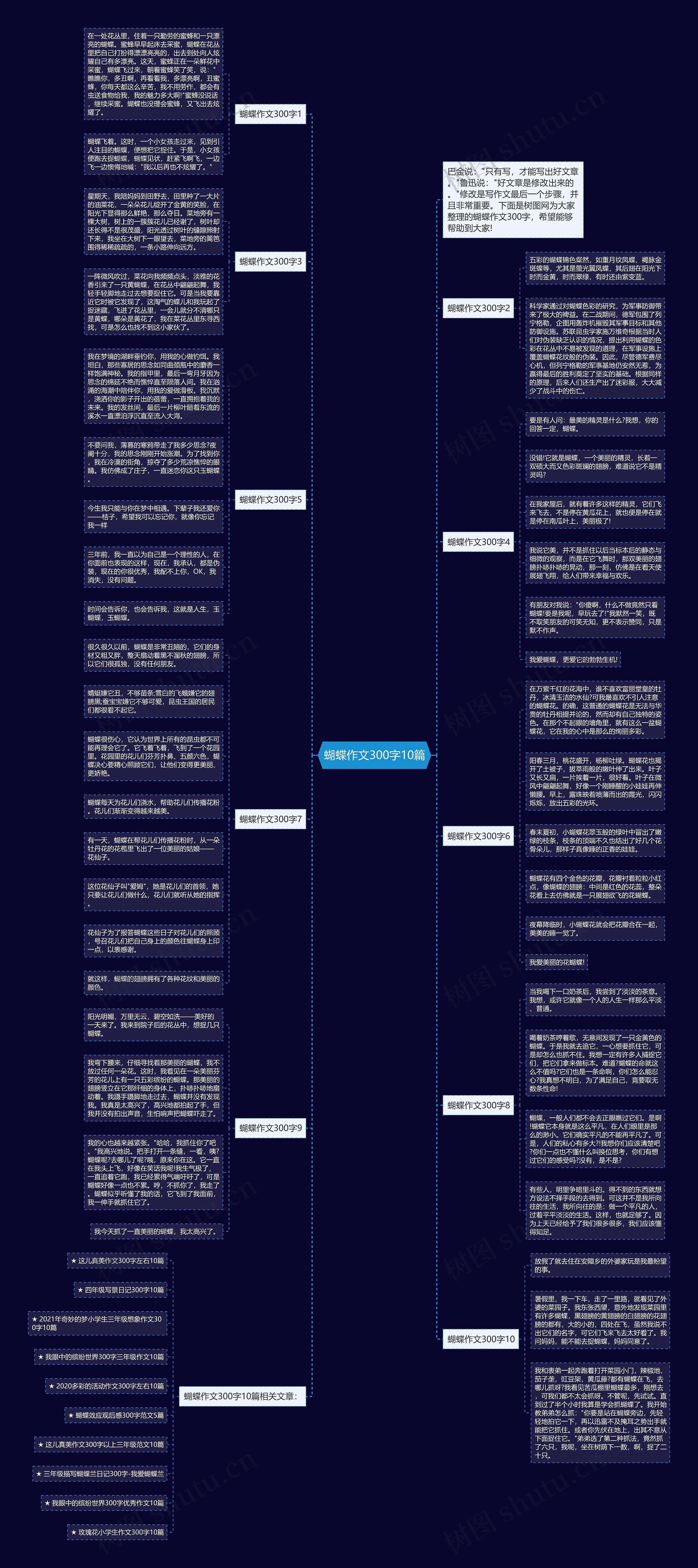 蝴蝶作文300字10篇思维导图