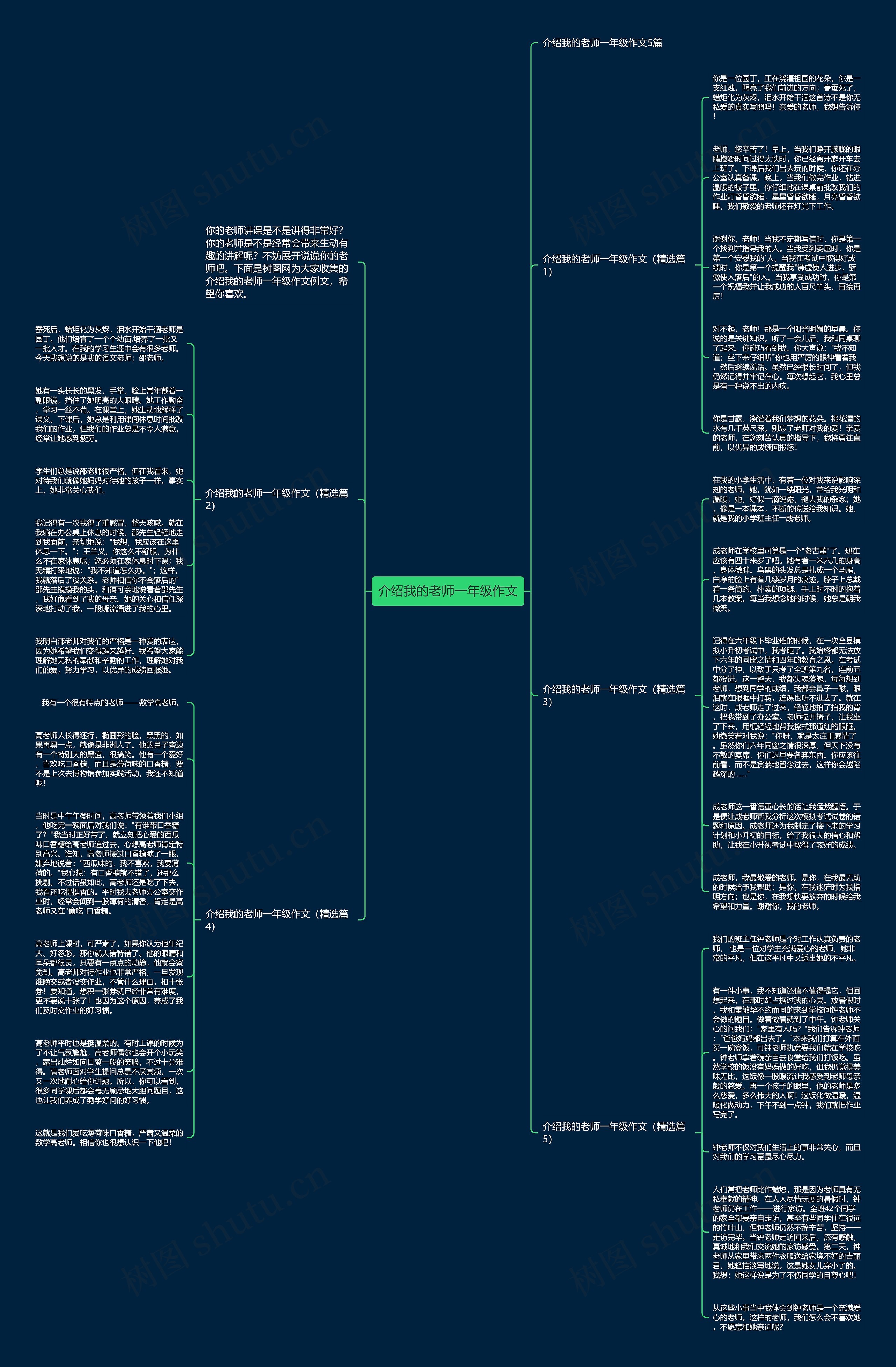 介绍我的老师一年级作文思维导图