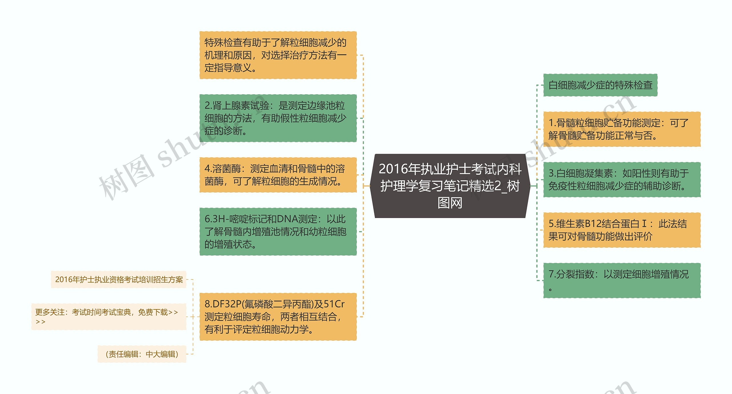 2016年执业护士考试内科护理学复习笔记精选2思维导图