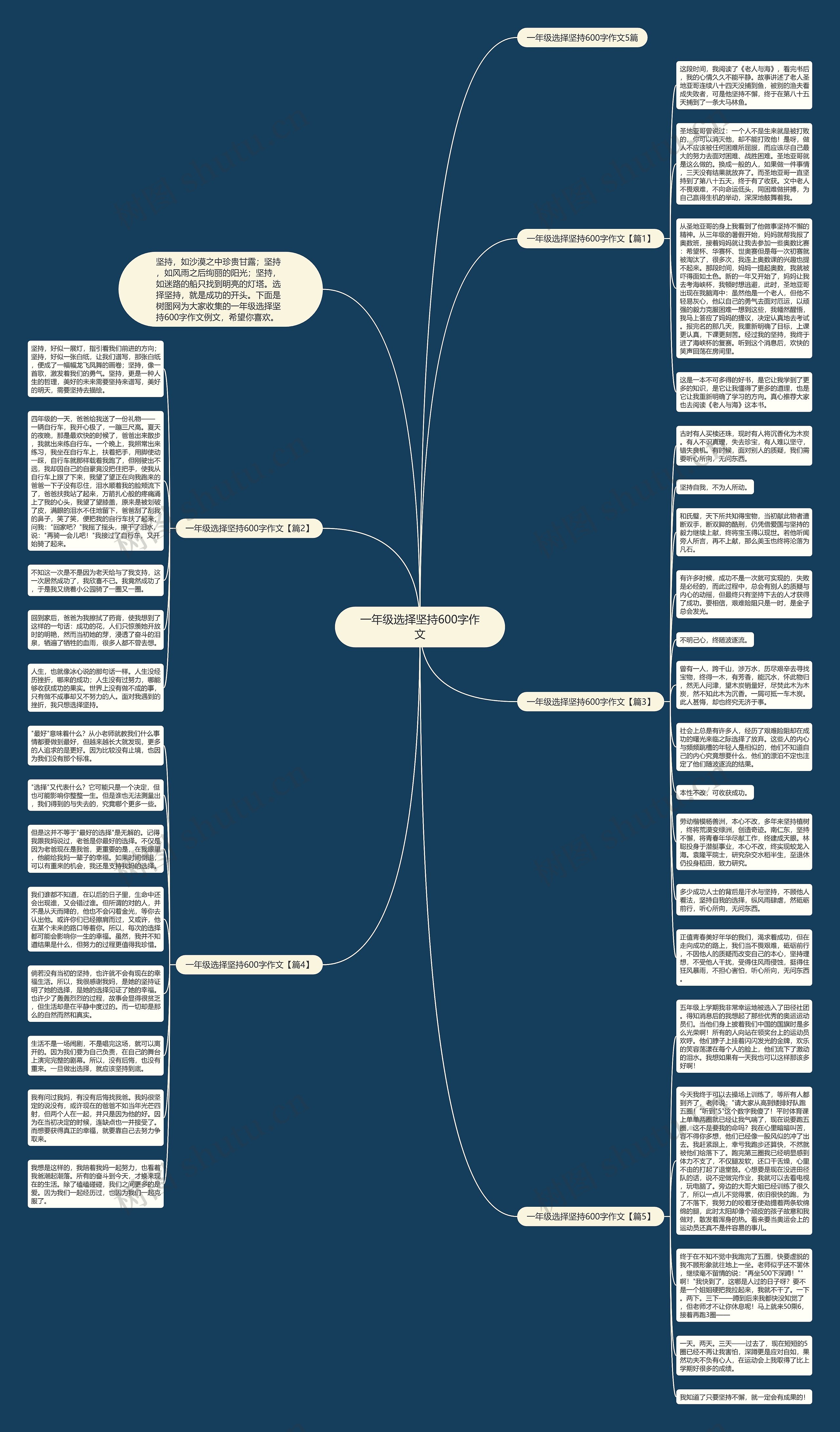 一年级选择坚持600字作文思维导图