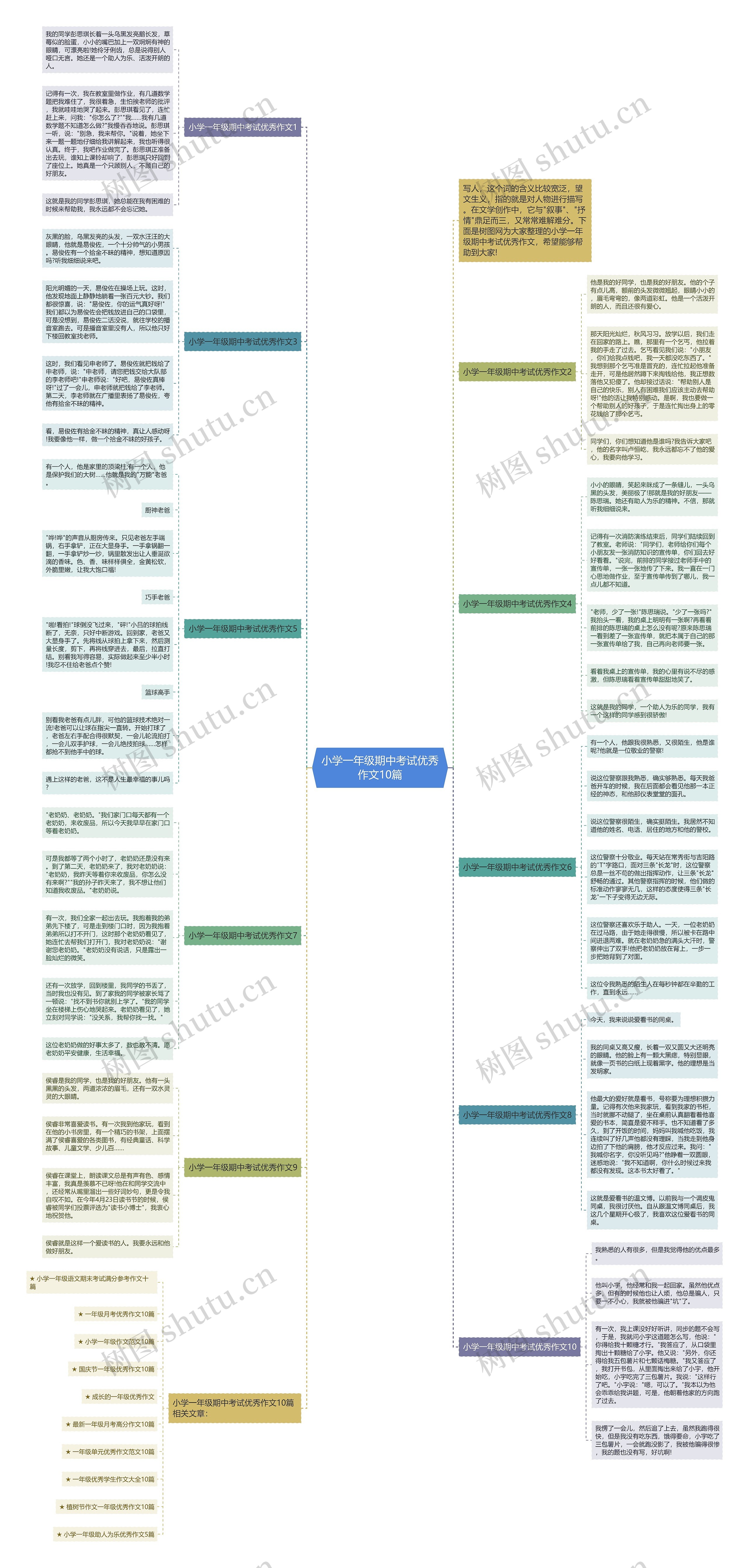 小学一年级期中考试优秀作文10篇思维导图