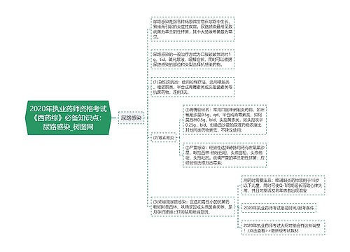 2020年执业药师资格考试《西药综》必备知识点：尿路感染