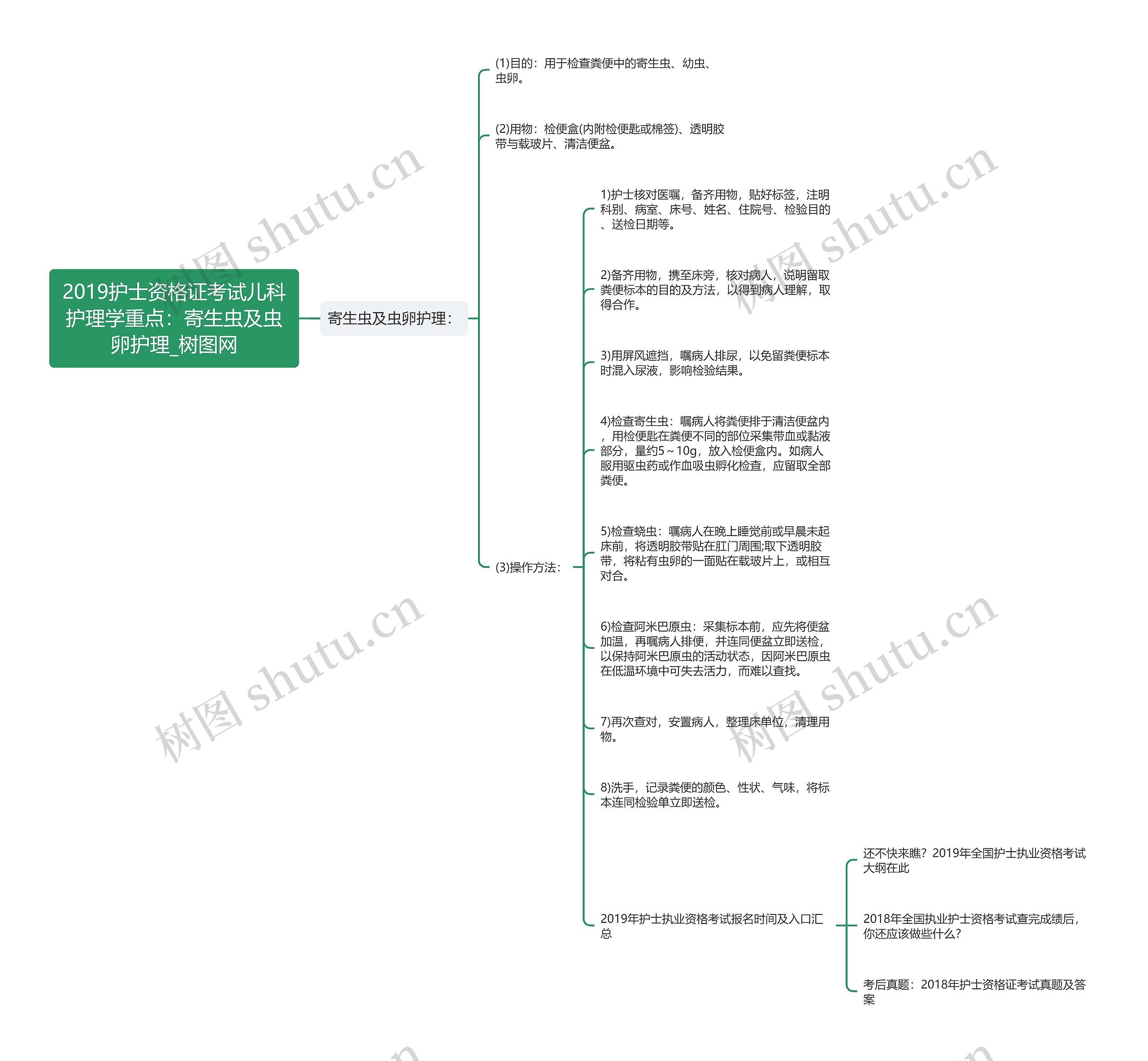 2019护士资格证考试儿科护理学重点：寄生虫及虫卵护理思维导图