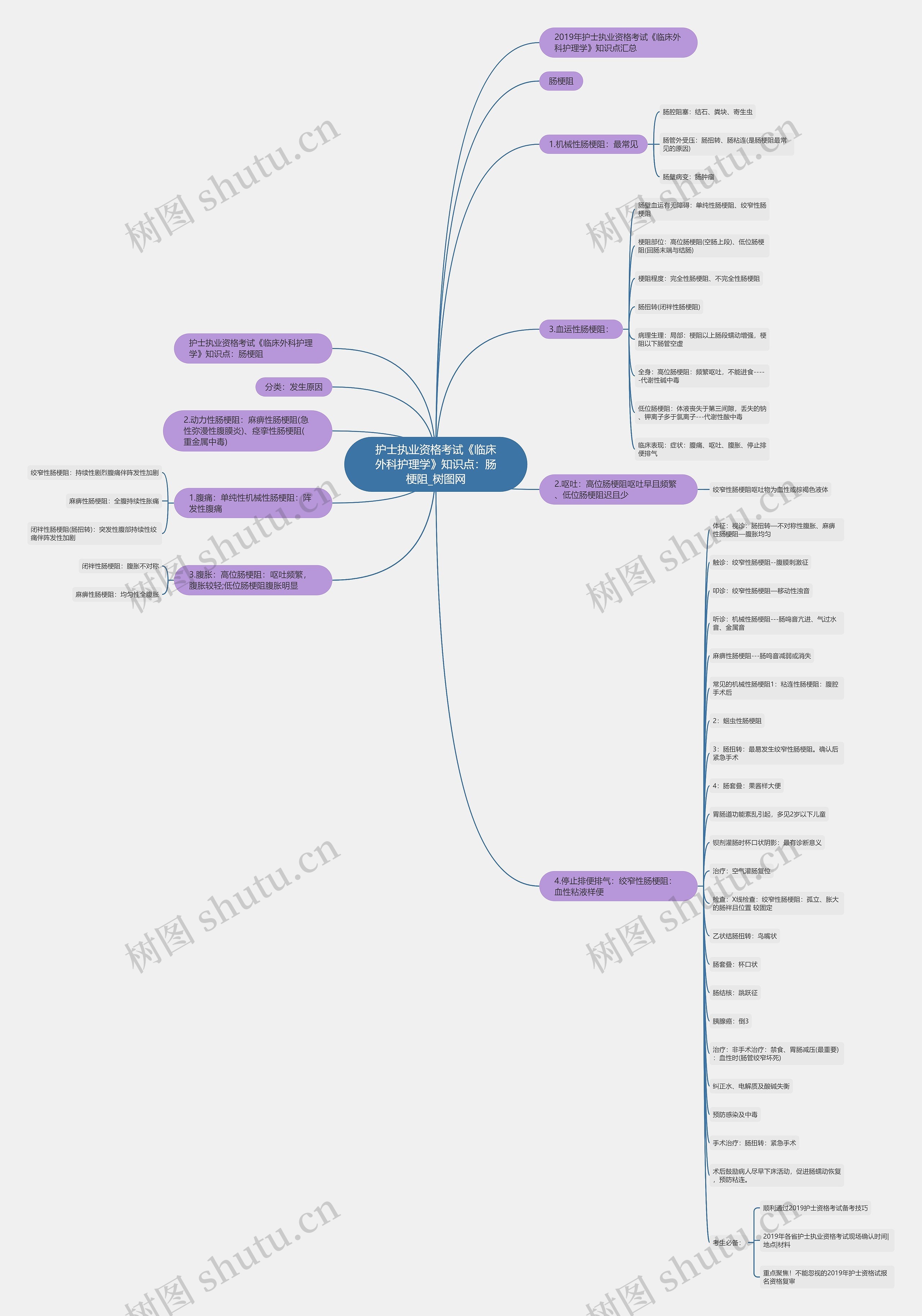 护士执业资格考试《临床外科护理学》知识点:肠梗阻 护士执业资格考试《临床外科护理学》知识点:肠梗阻