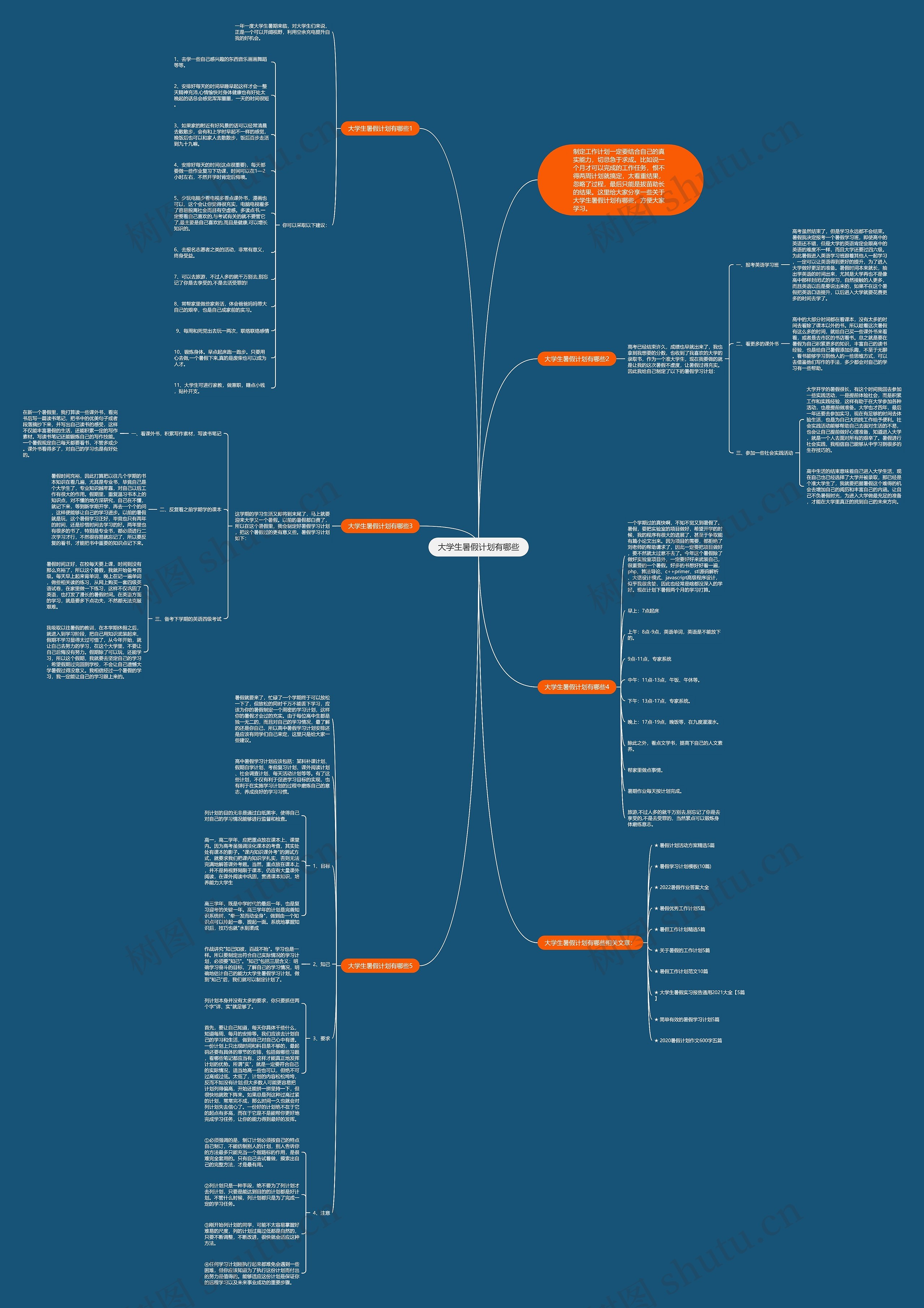 大学生暑假计划有哪些思维导图