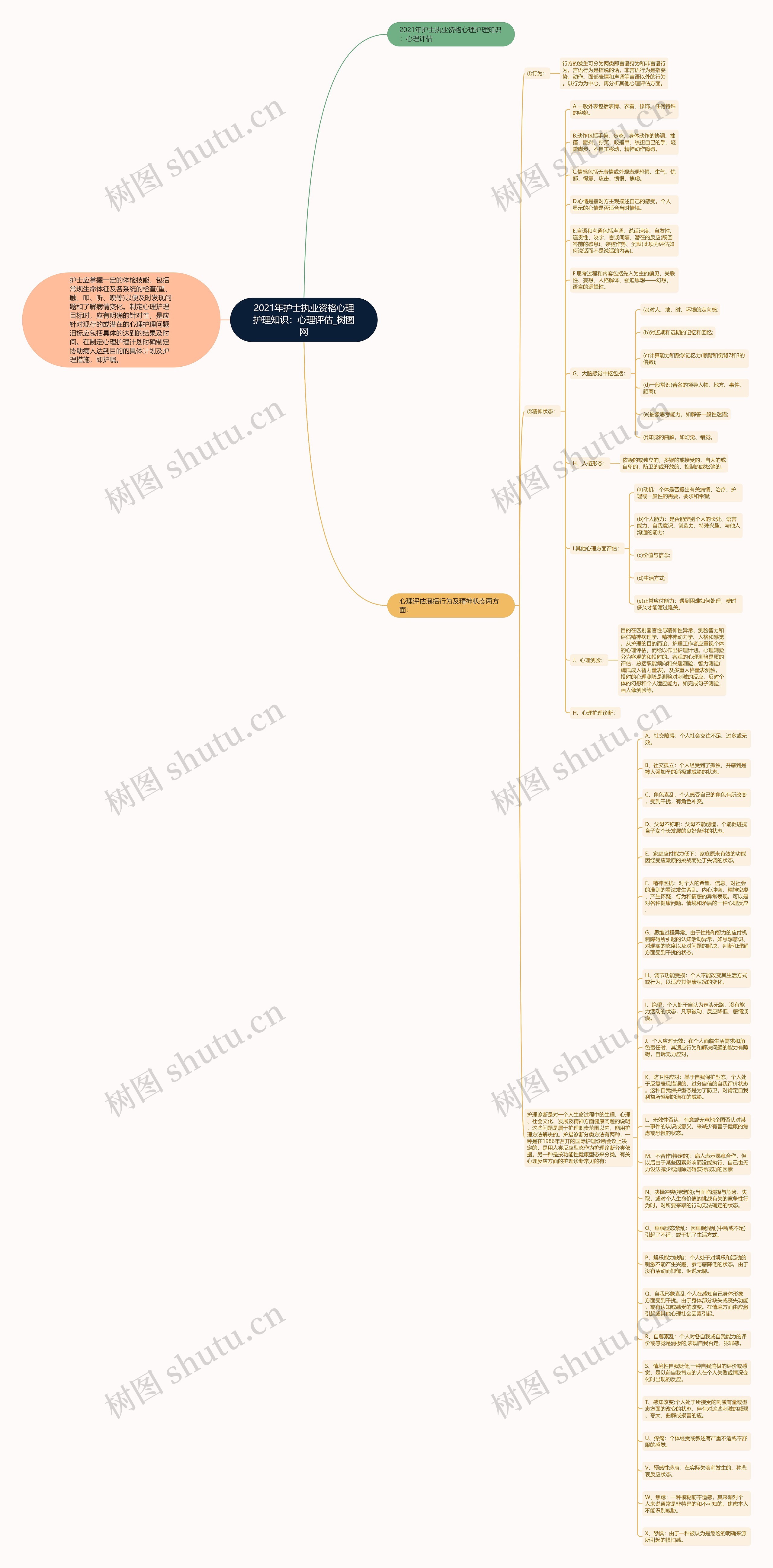 2021年护士执业资格心理护理知识：心理评估思维导图