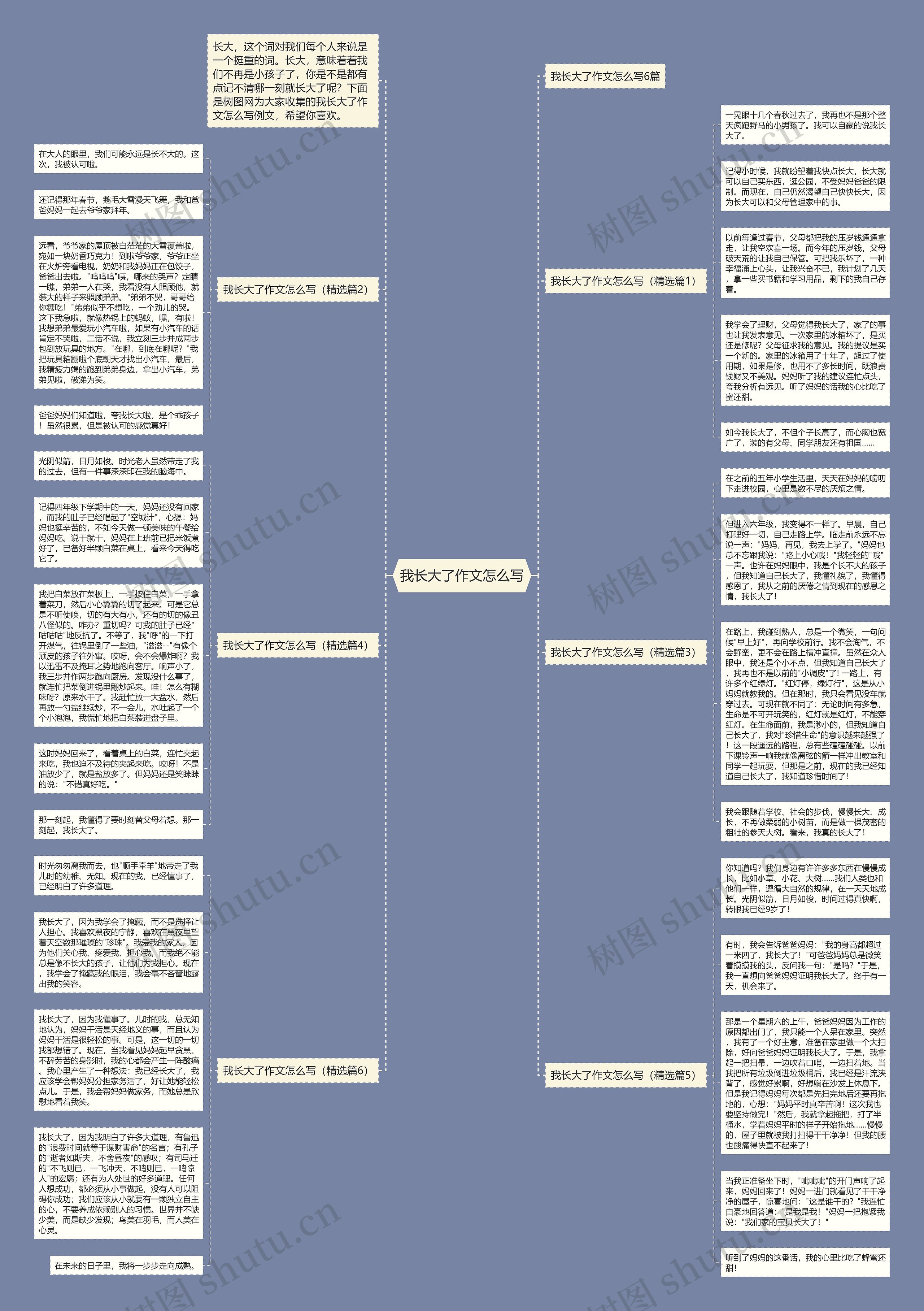 我长大了作文怎么写思维导图