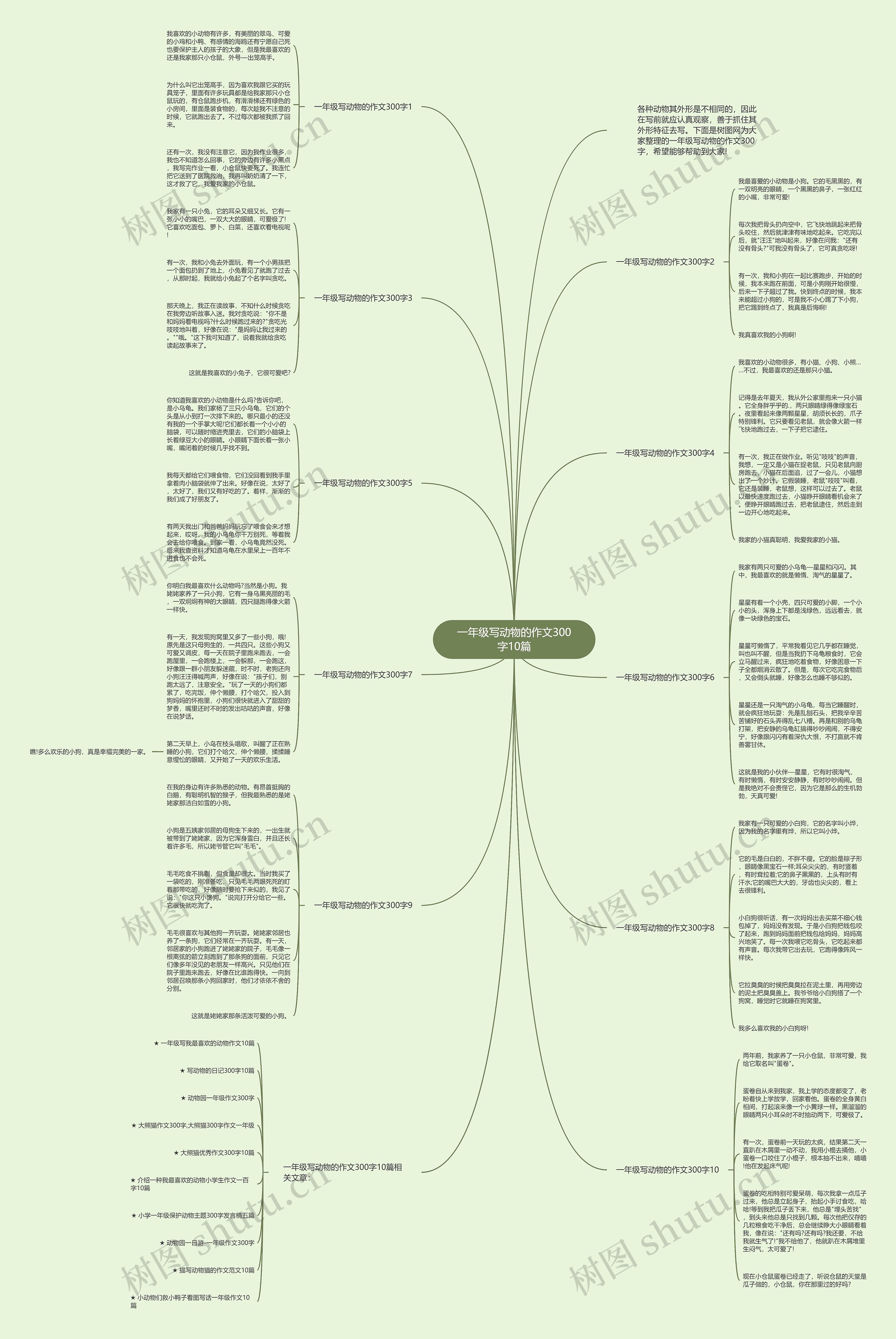 一年级写动物的作文300字10篇思维导图