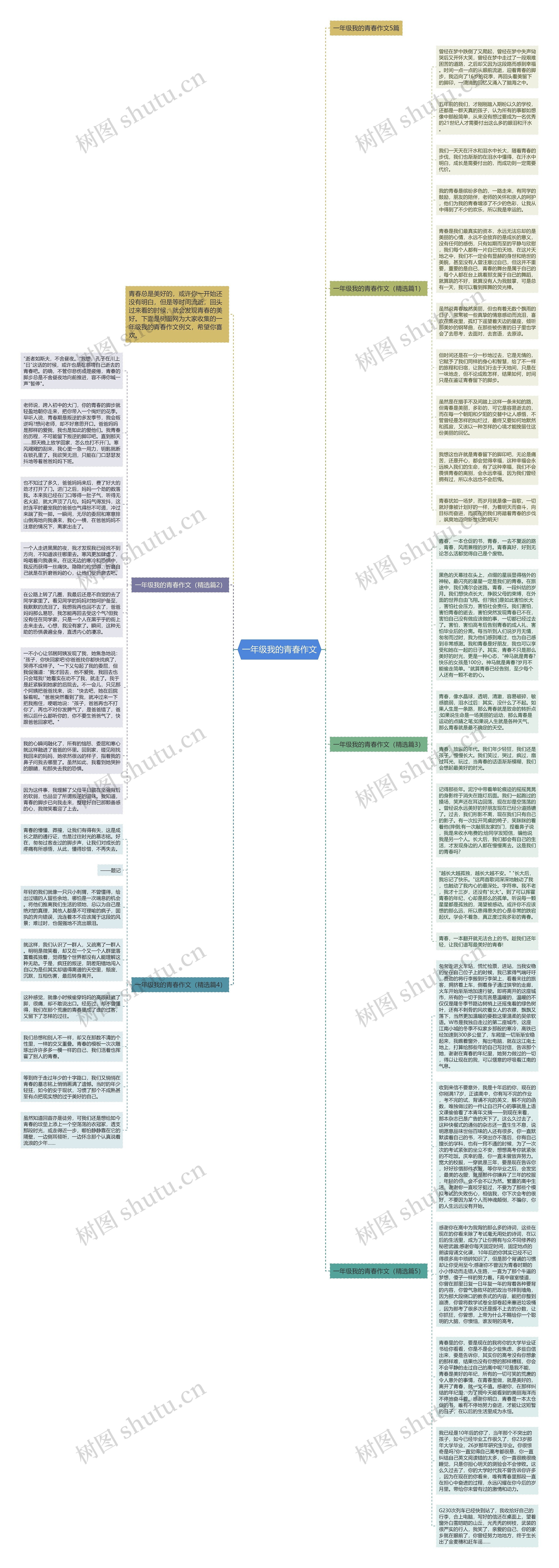 一年级我的青春作文思维导图