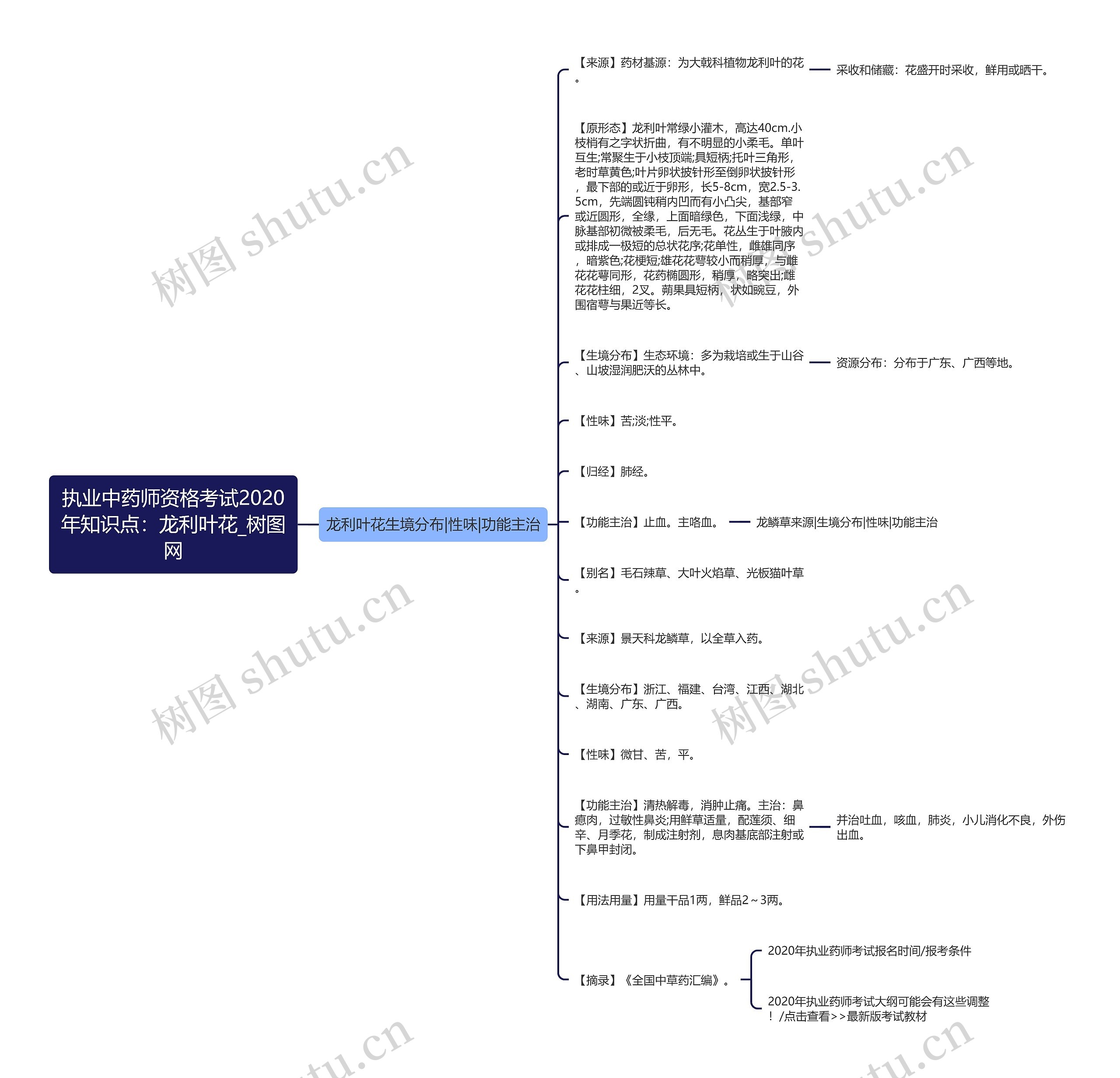 执业中药师资格考试2020年知识点：龙利叶花