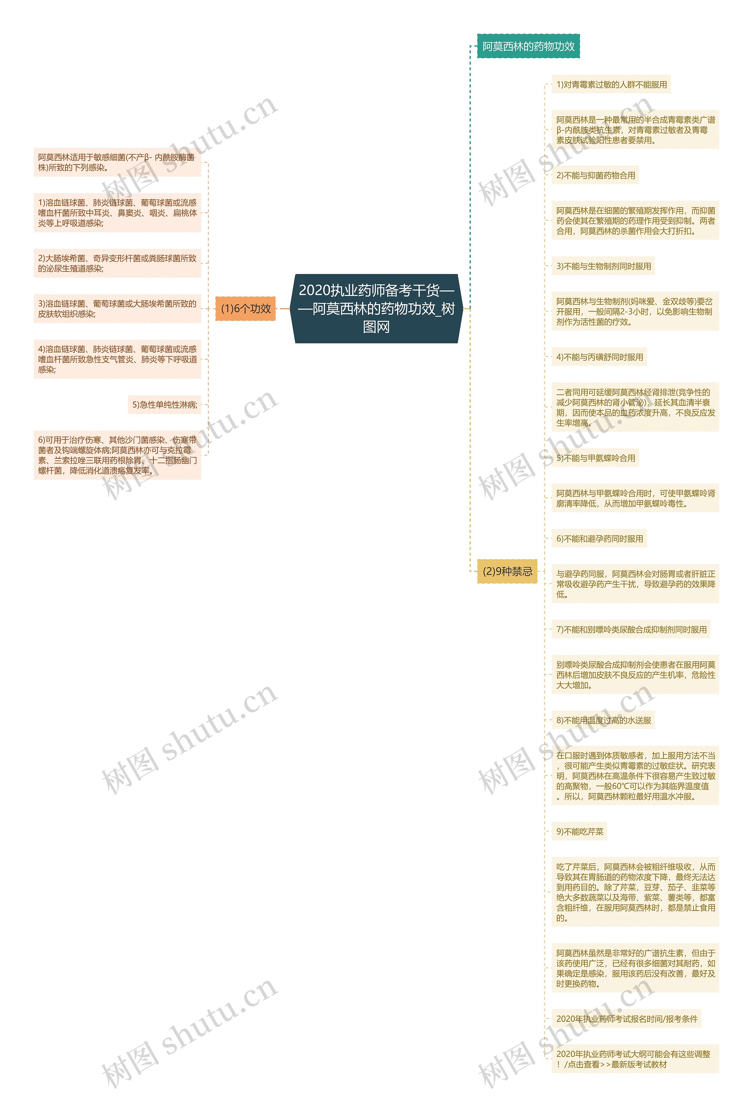 2020执业药师备考干货——阿莫西林的药物功效思维导图