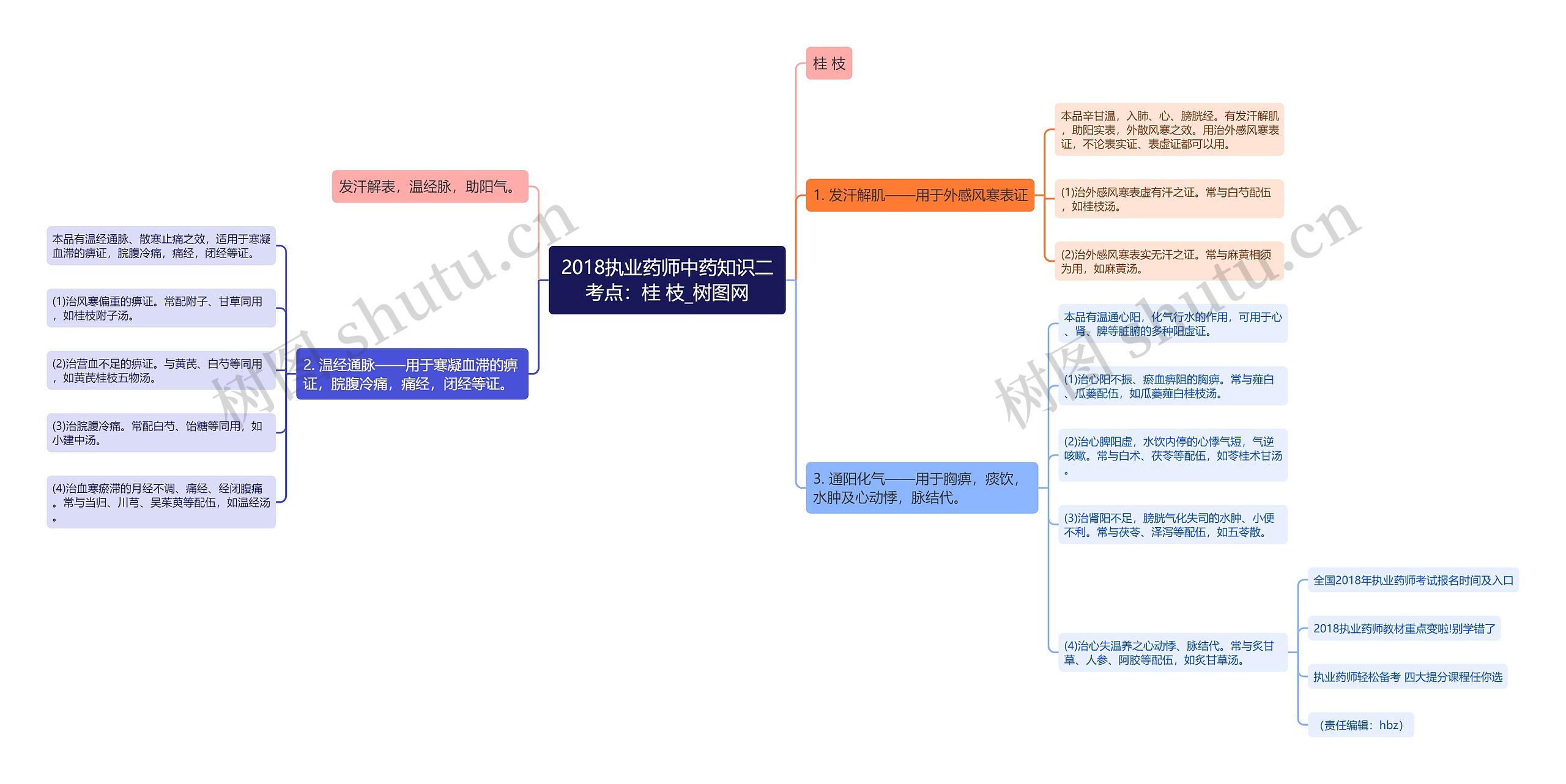 2018执业药师中药知识二考点：桂 枝思维导图