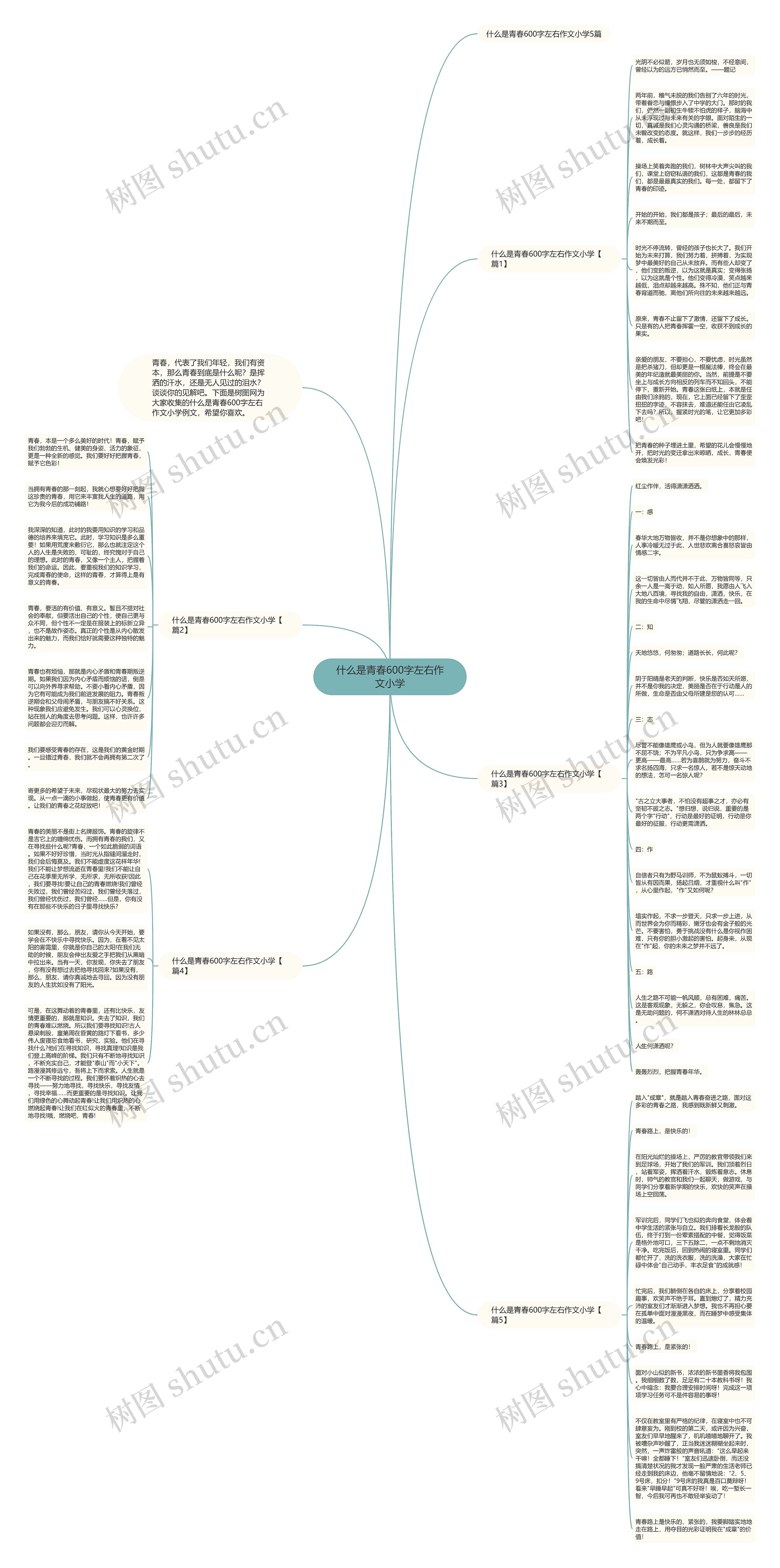 什么是青春600字左右作文小学思维导图