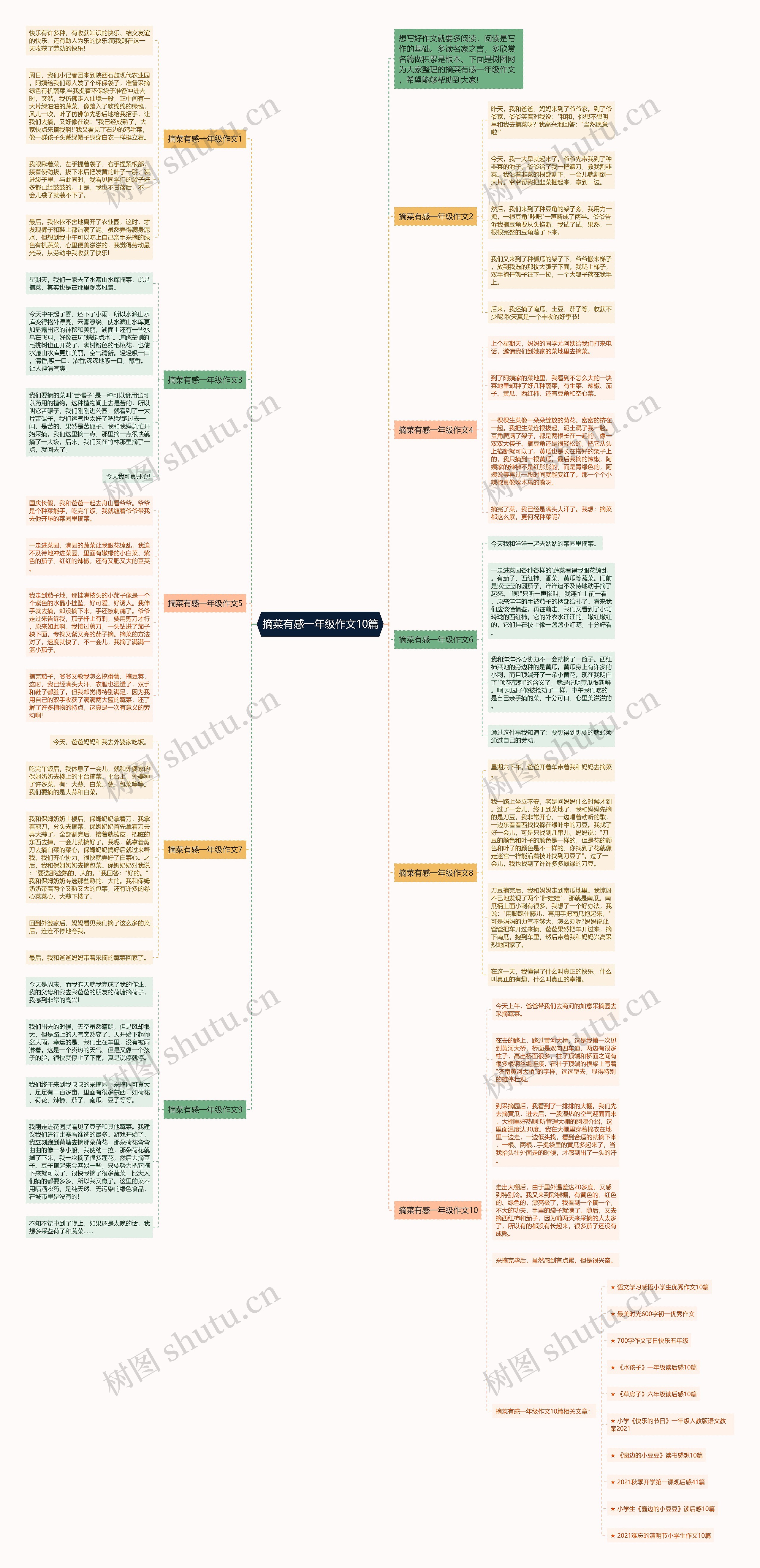 摘菜有感一年级作文10篇思维导图