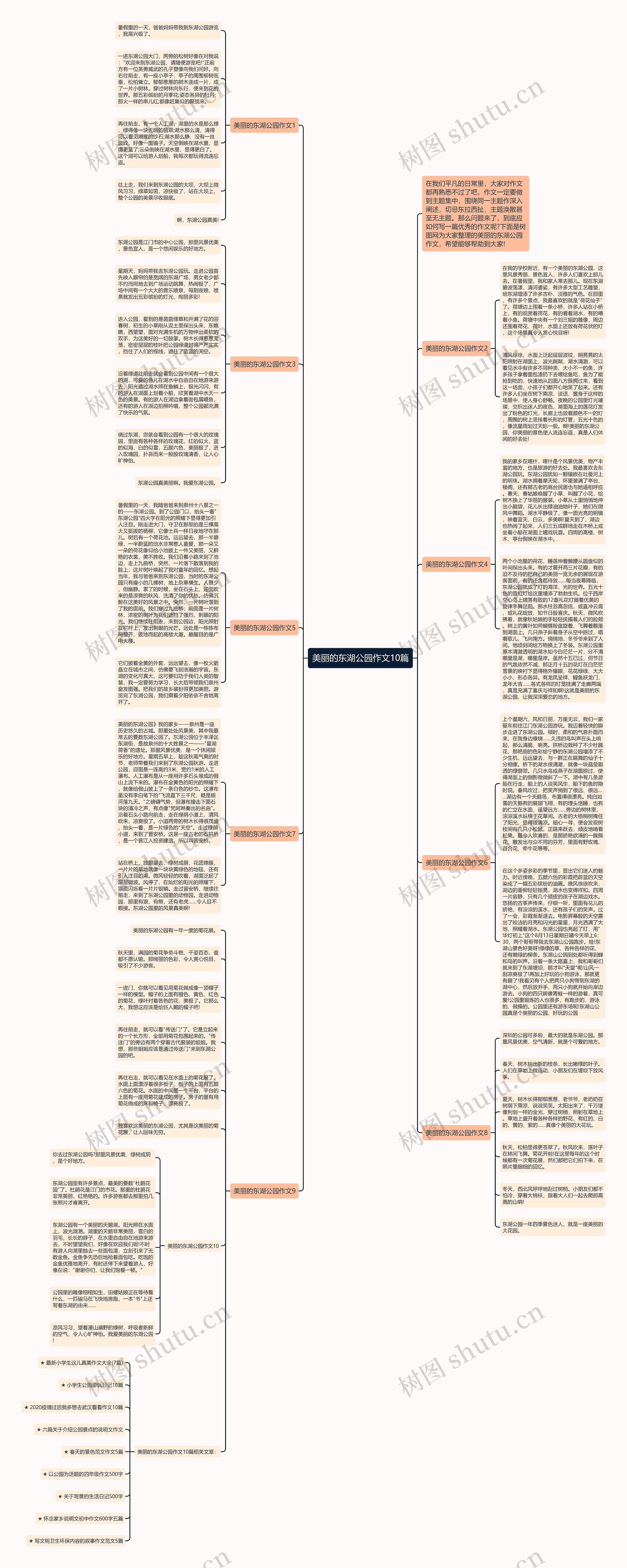 美丽的东湖公园作文10篇思维导图
