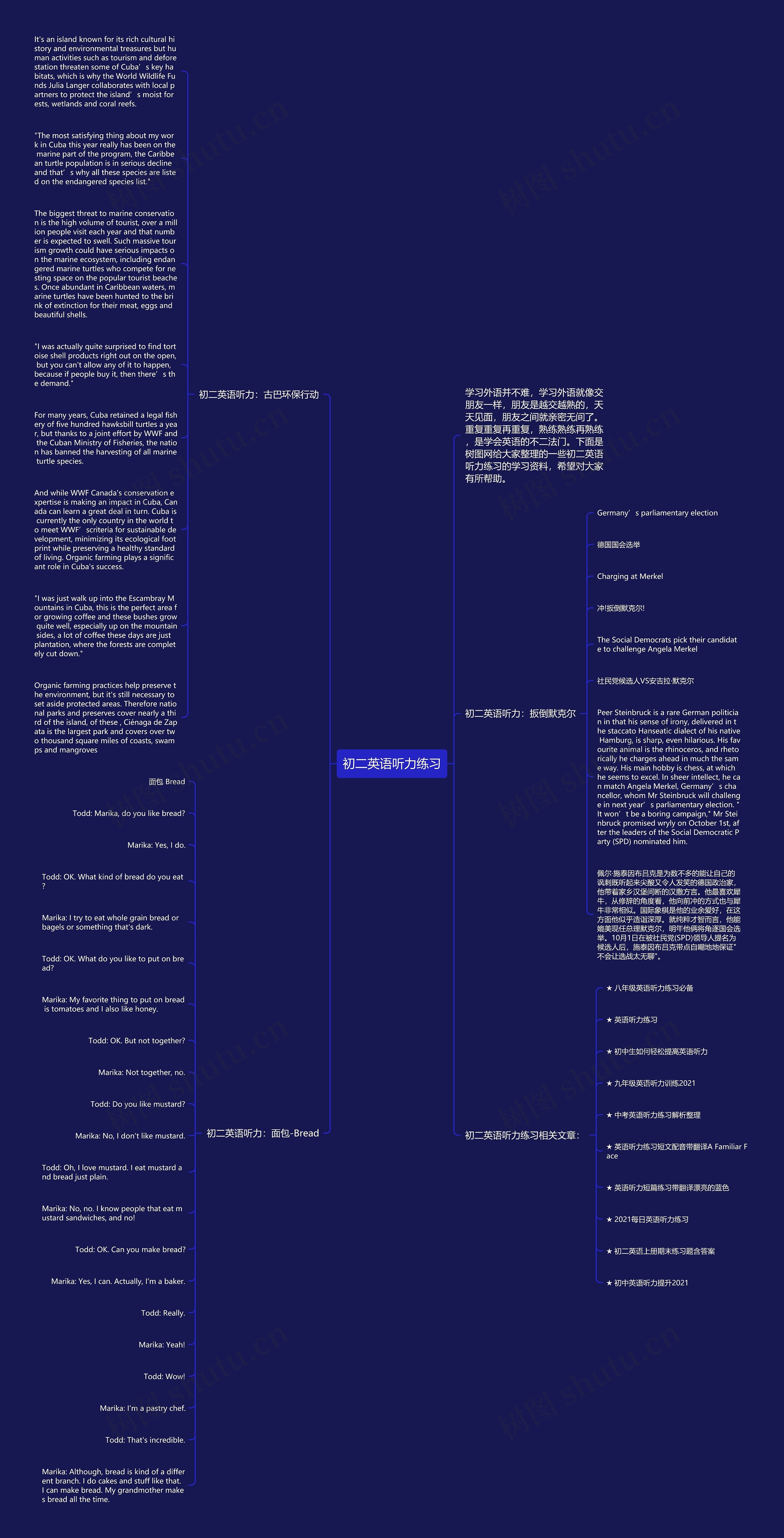 初二英语听力练习思维导图