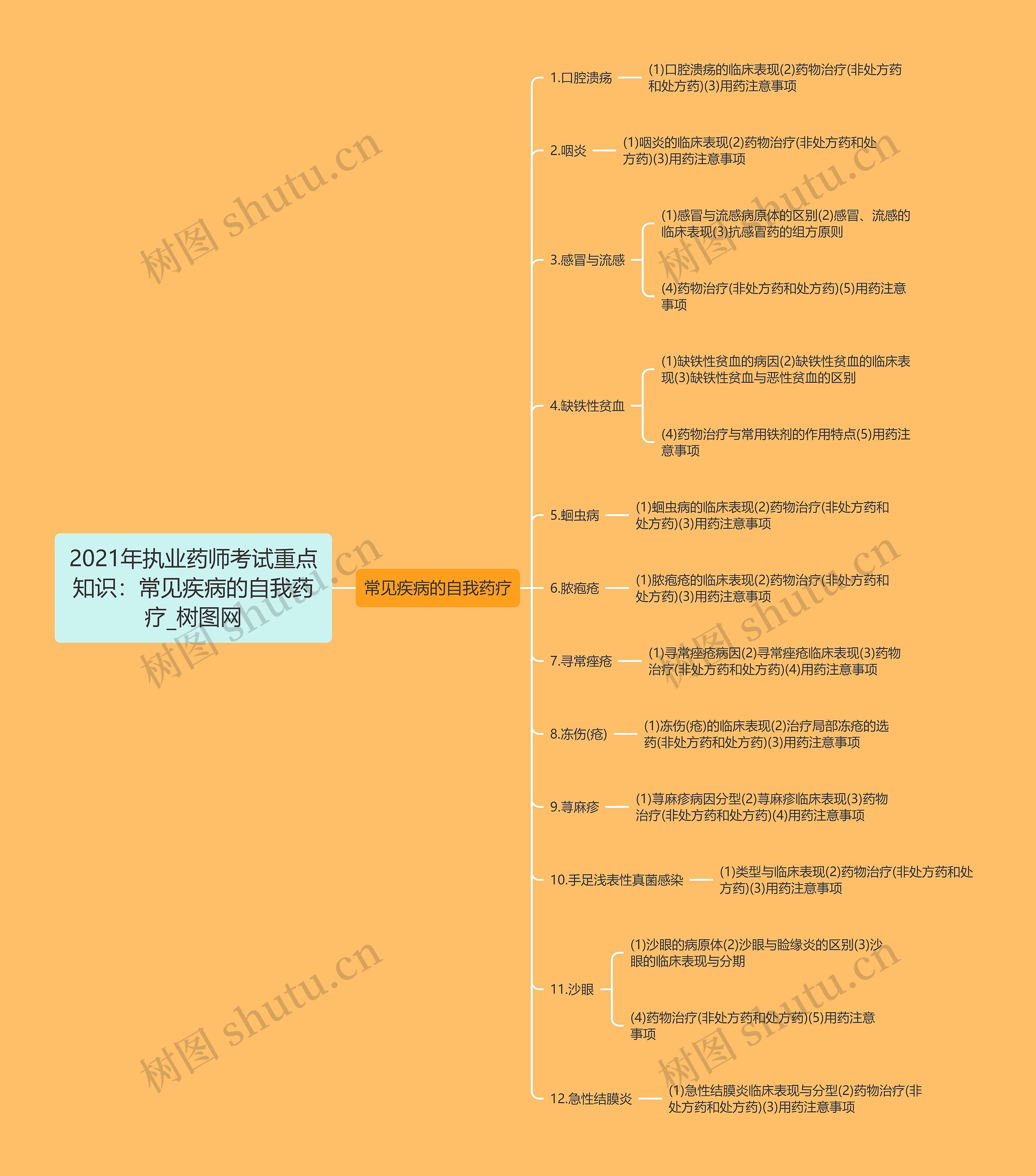 2021年执业药师考试重点知识：常见疾病的自我药疗思维导图