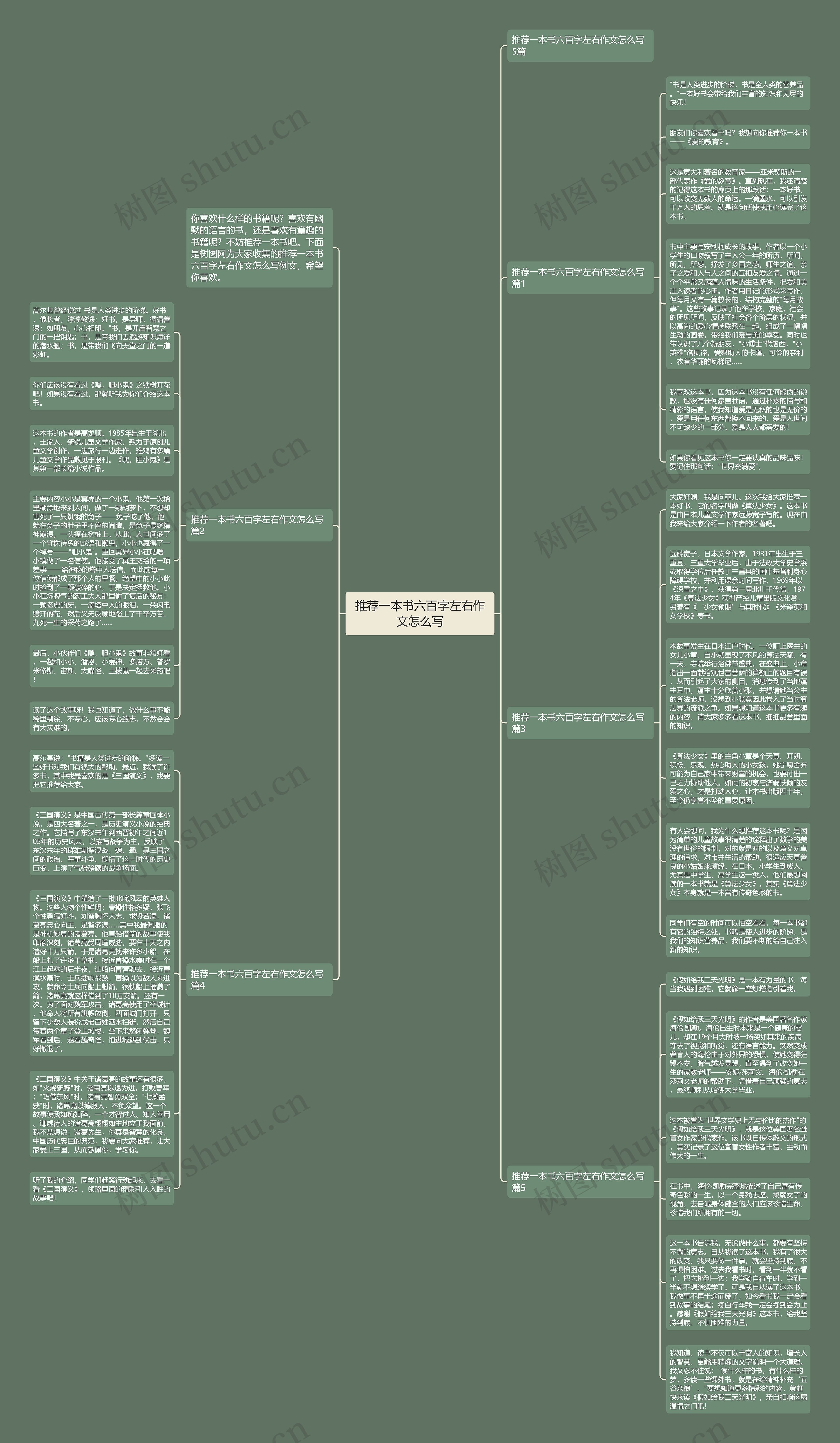 推荐一本书六百字左右作文怎么写思维导图