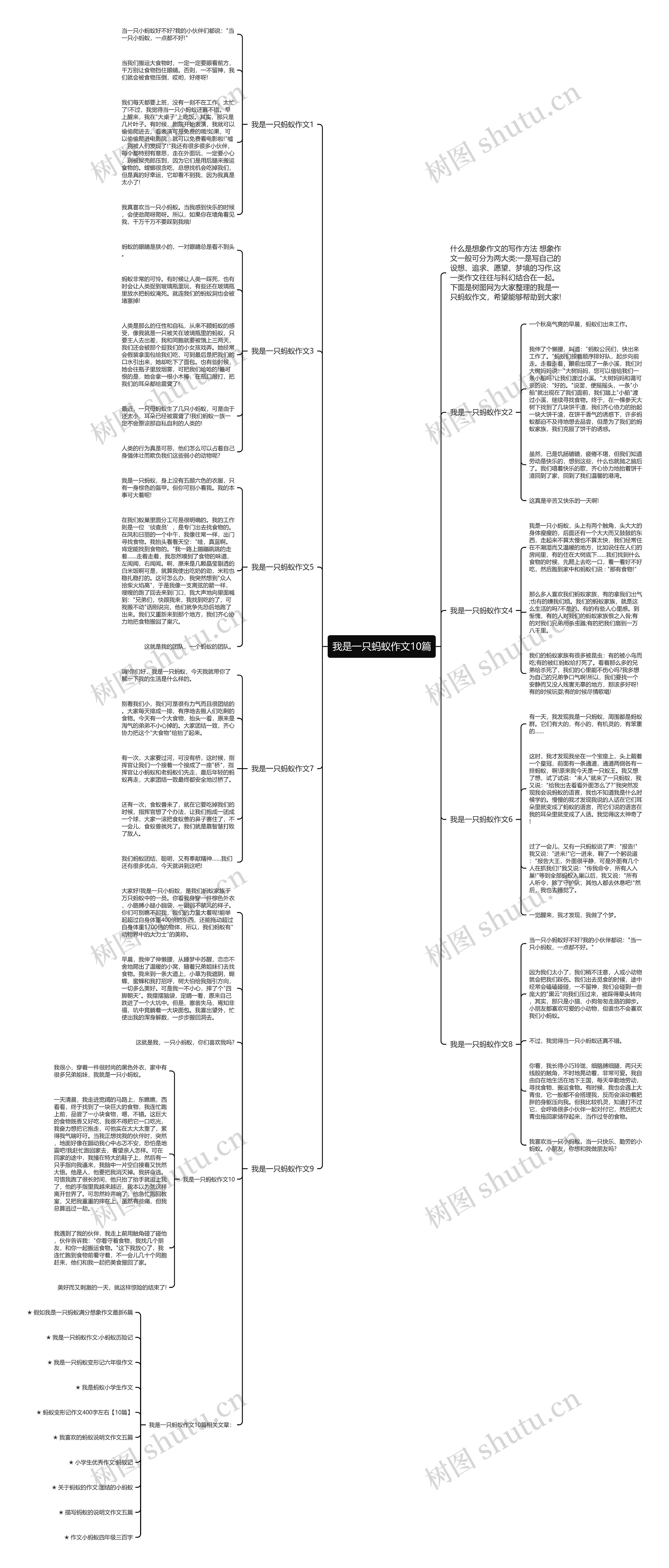 我是一只蚂蚁作文10篇思维导图