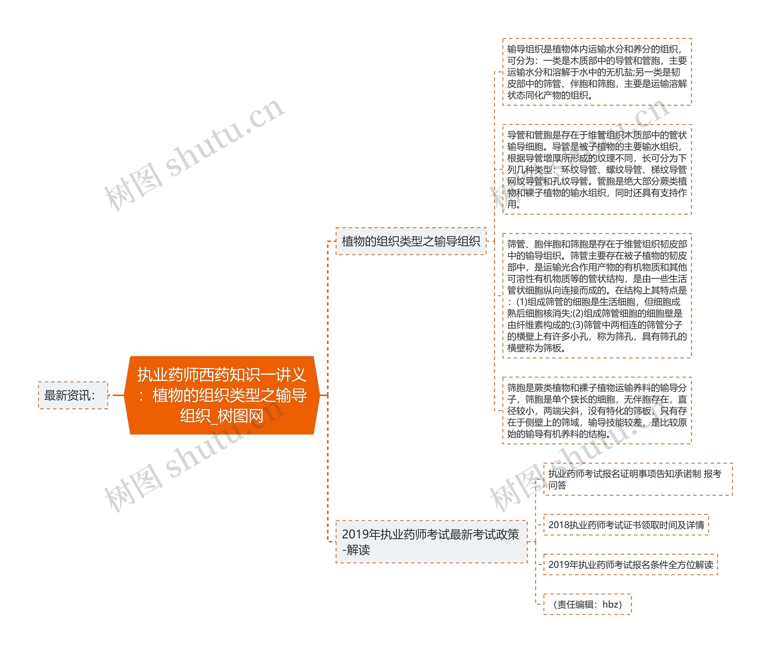 执业药师西药知识一讲义：植物的组织类型之输导组织思维导图