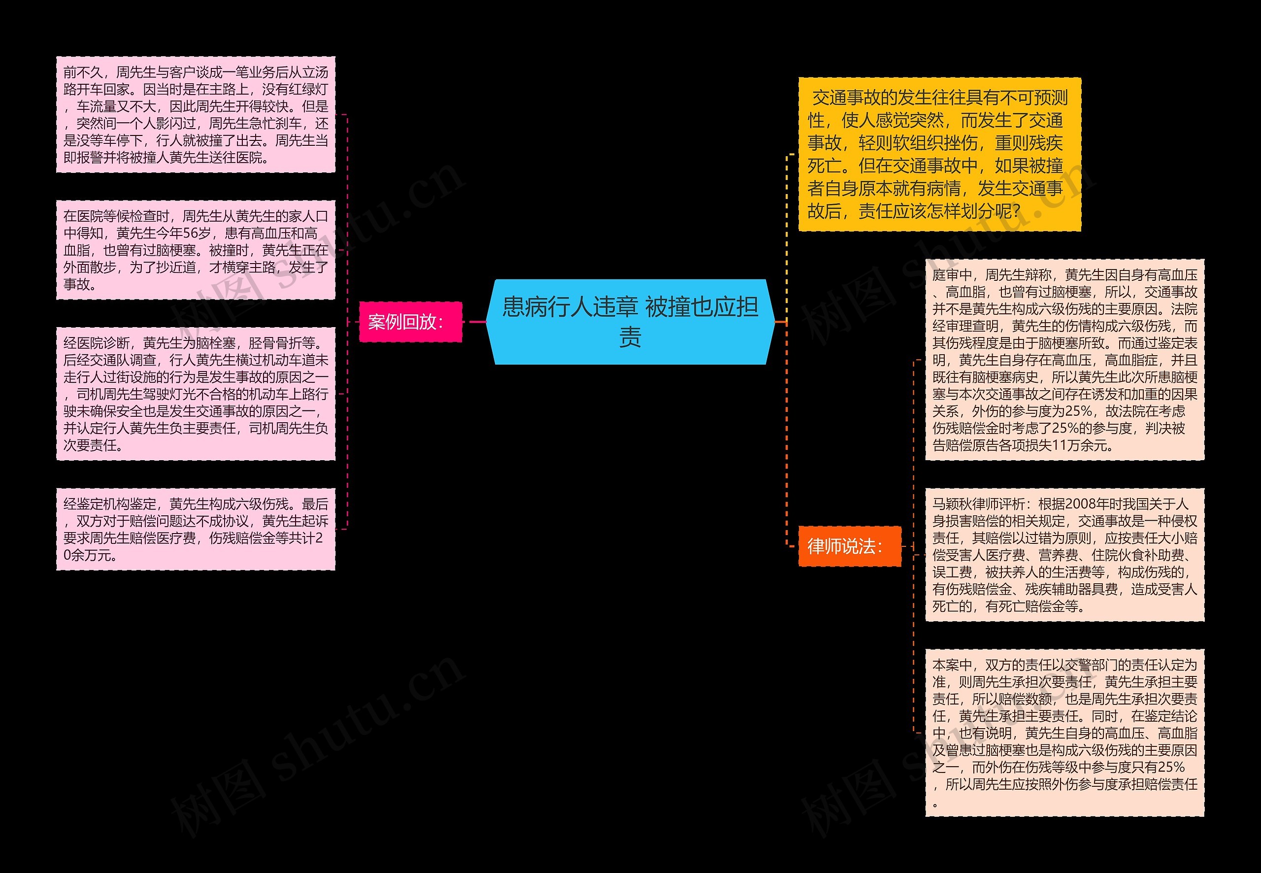 患病行人违章 被撞也应担责思维导图