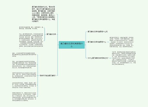 康乃馨的花语和寓意是什么