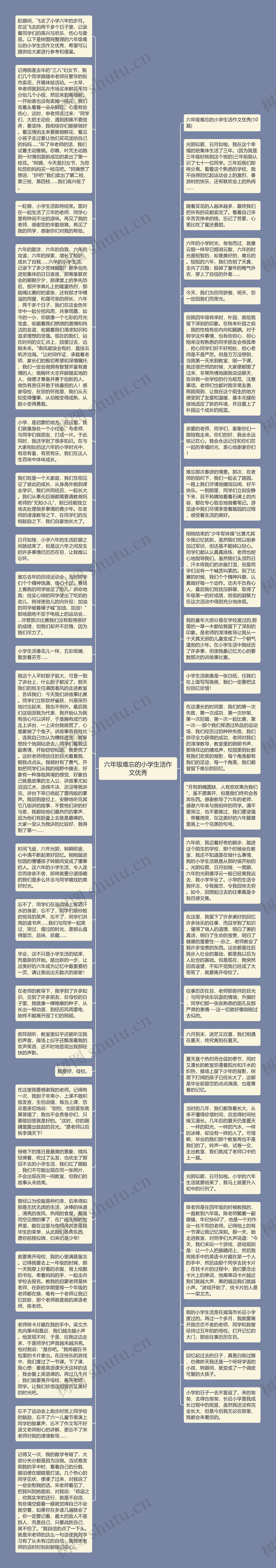 六年级难忘的小学生活作文优秀