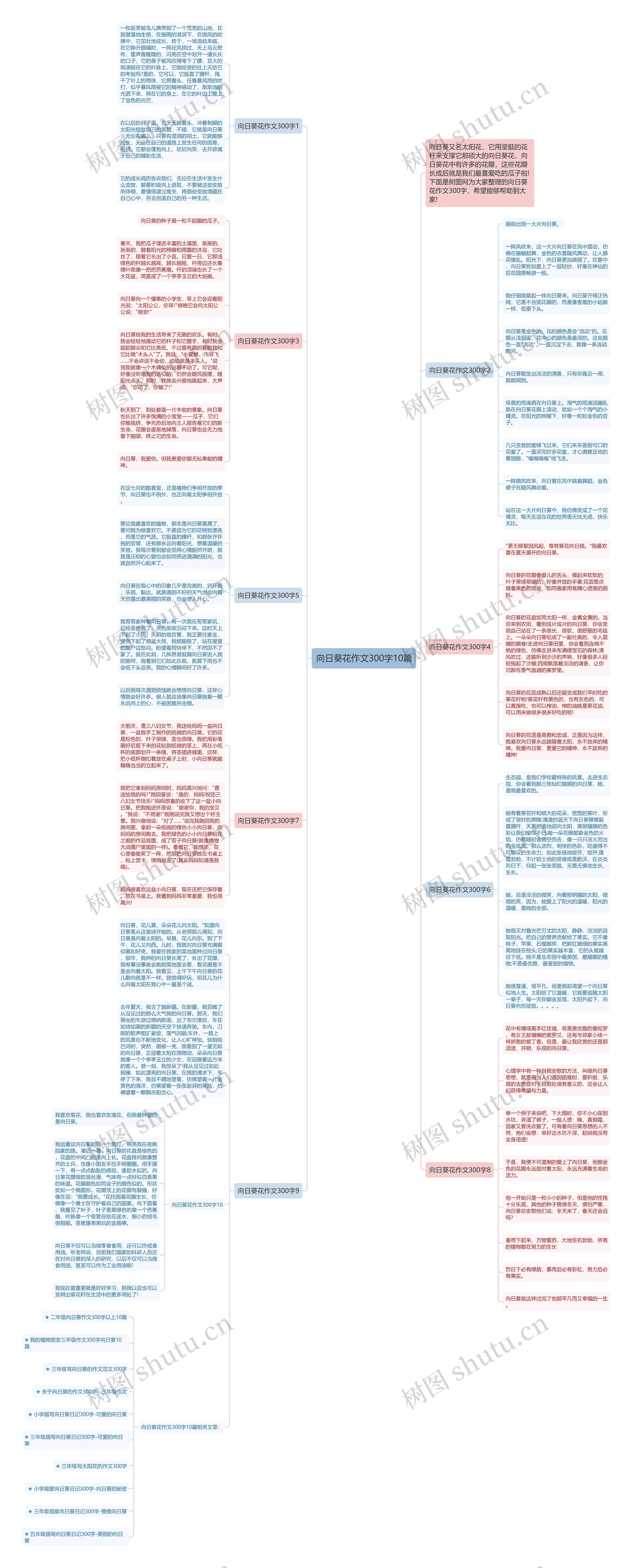 向日葵花作文300字10篇思维导图