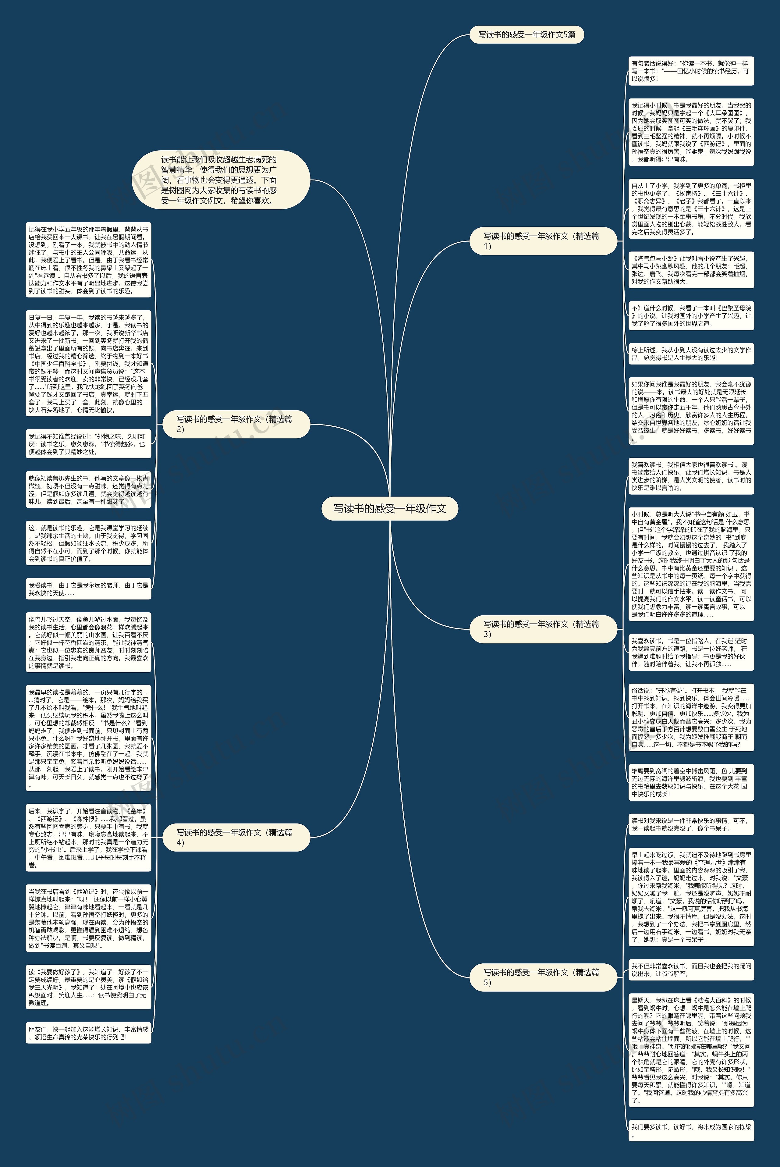写读书的感受一年级作文思维导图
