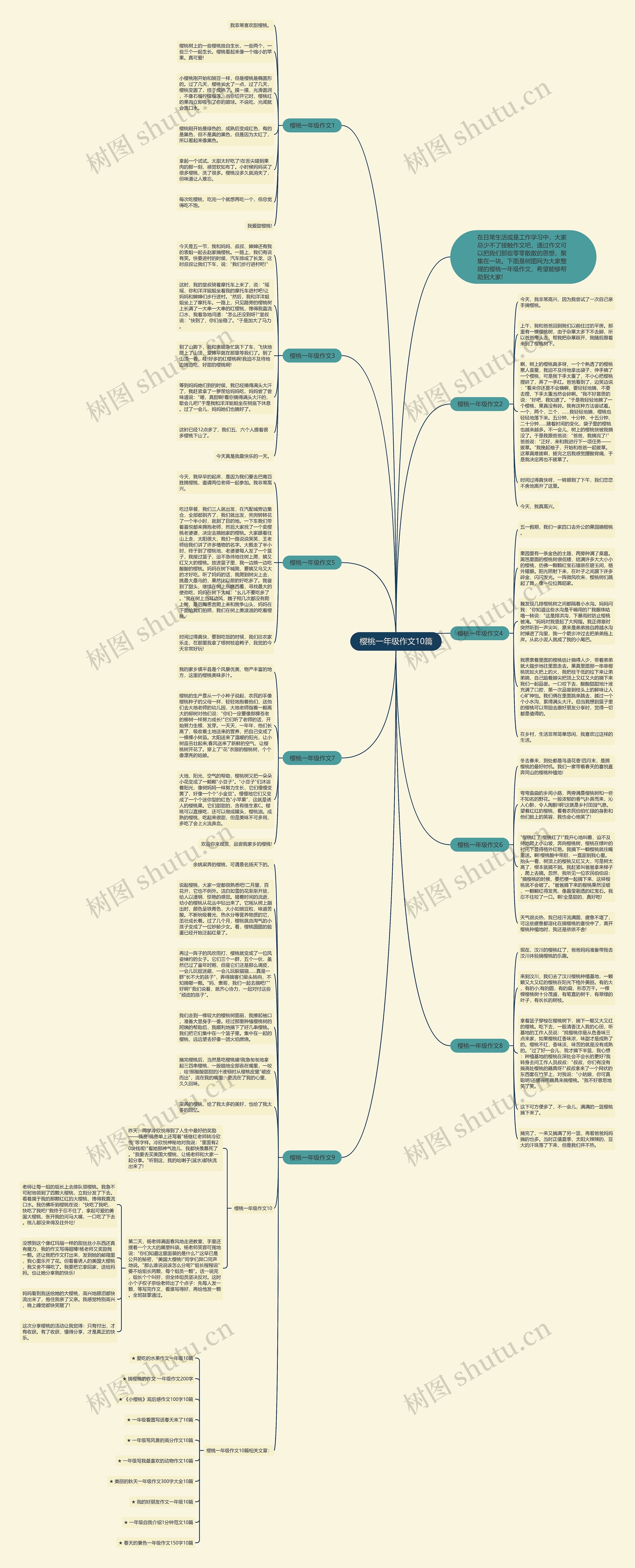 樱桃一年级作文10篇思维导图